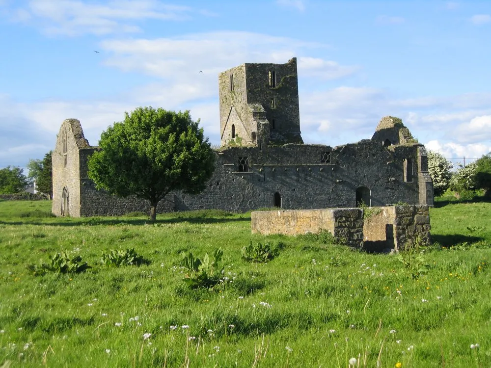 Photo showing: Callan Augustinian Friary, Callan, Co Kilkenny,
Photo Taken by Barry Somers, May 12th 2007