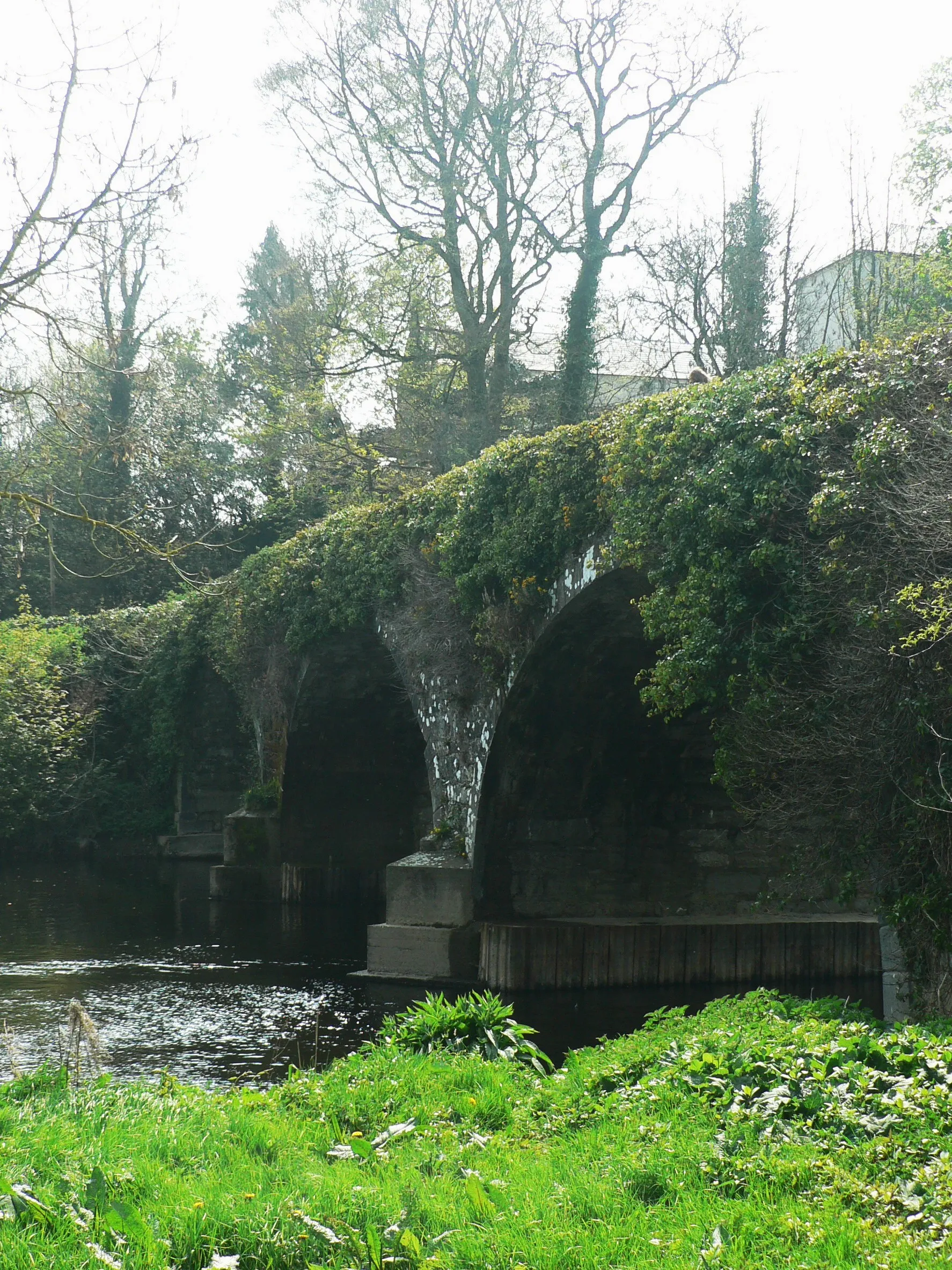 Photo showing: Photo of the stone road bridge at Killavullen, Co. Cork, over the River Blackwater. The roof of Ballymacmoy House can be seen in the background.