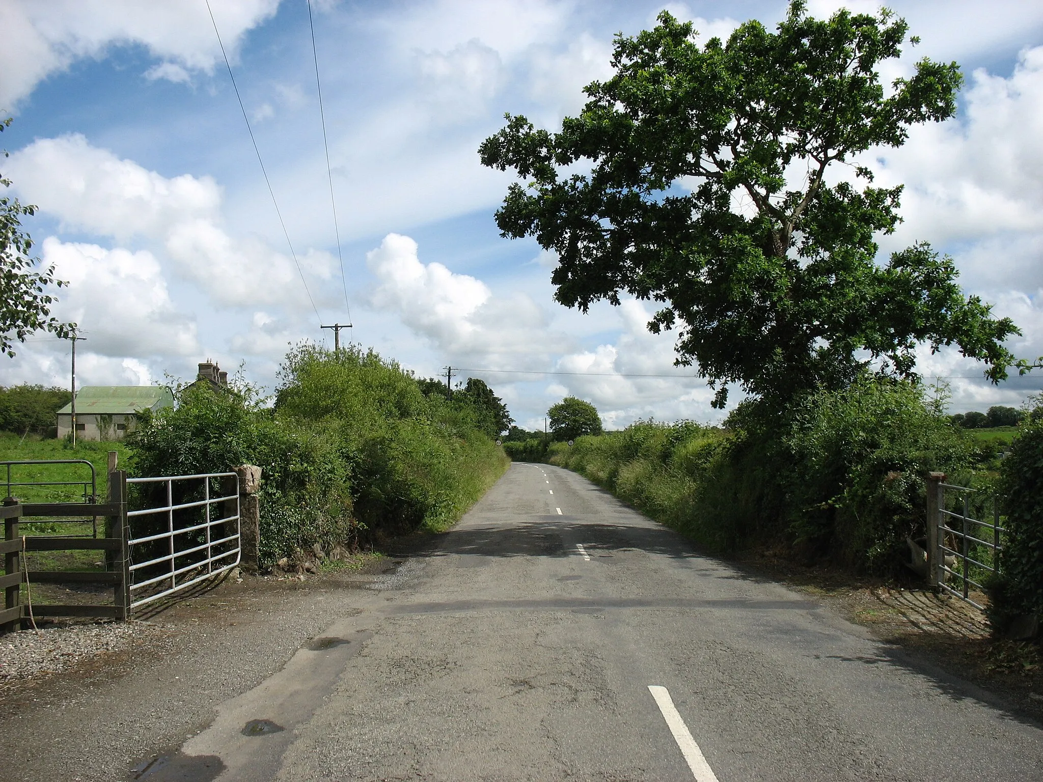 Photo showing: The lane to Ballywilliam