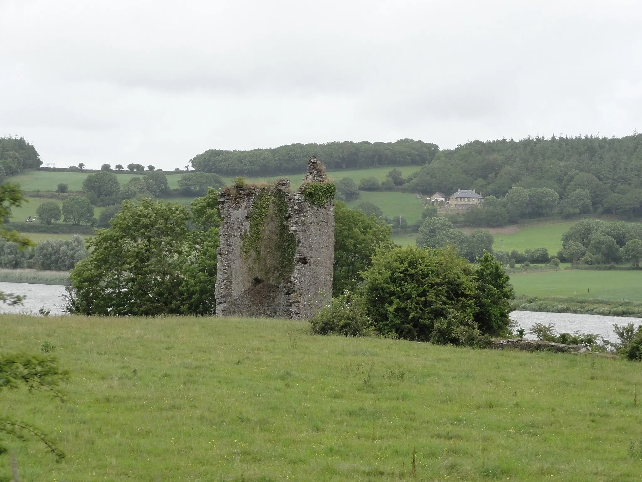 Photo showing: Kilmeadan Castle