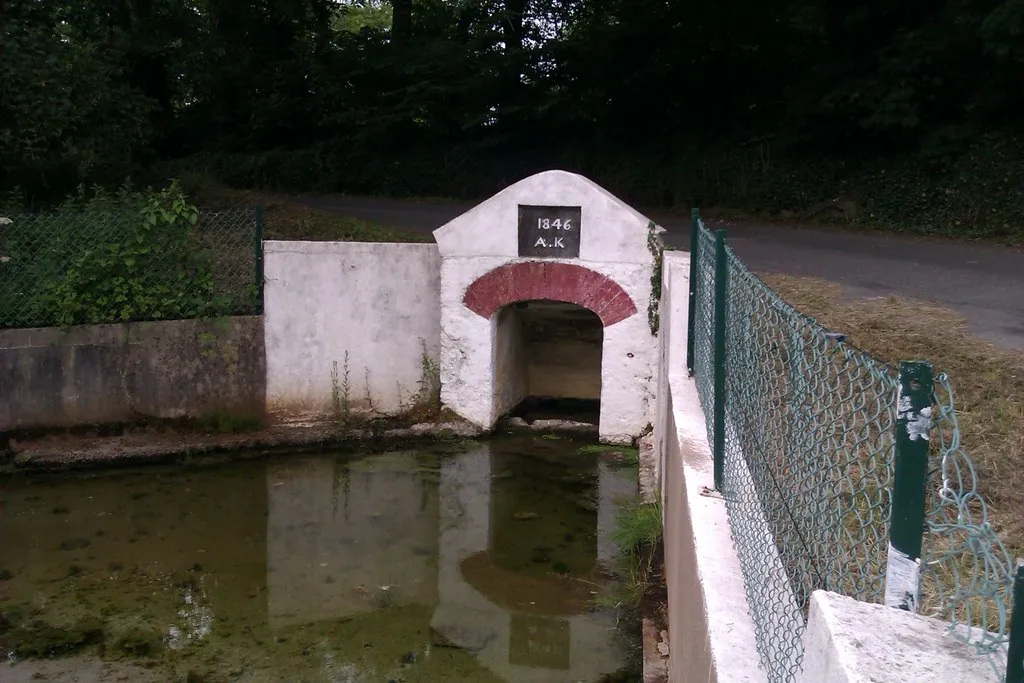 Photo showing: Bubbling holy well, near Kilmoyemogue