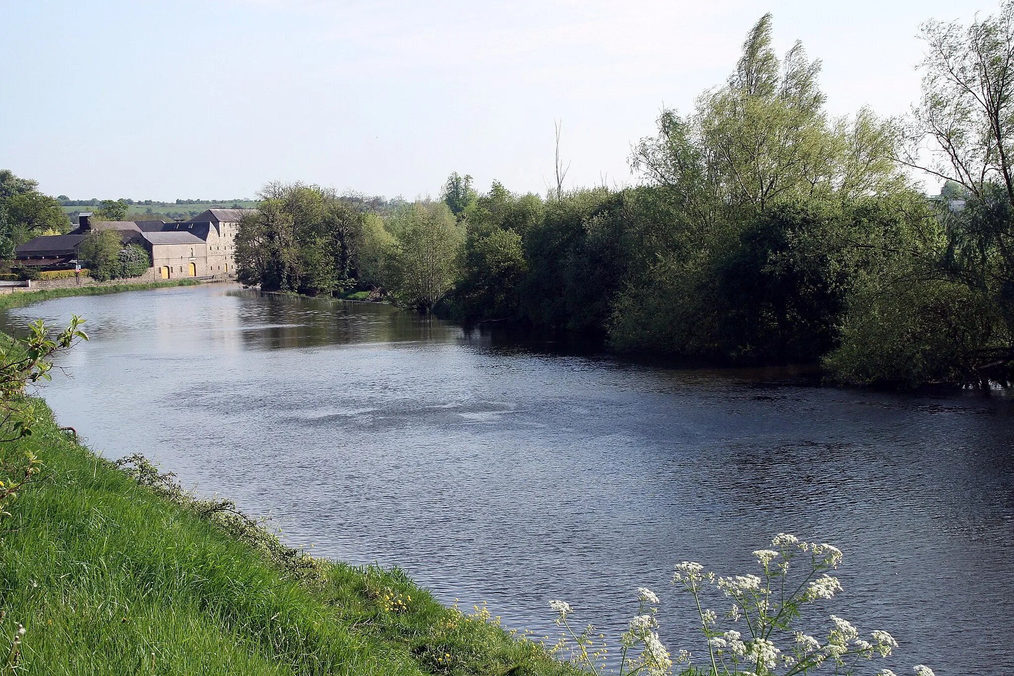 Photo showing: The River Barrow near Bagnelstown, County Carlow