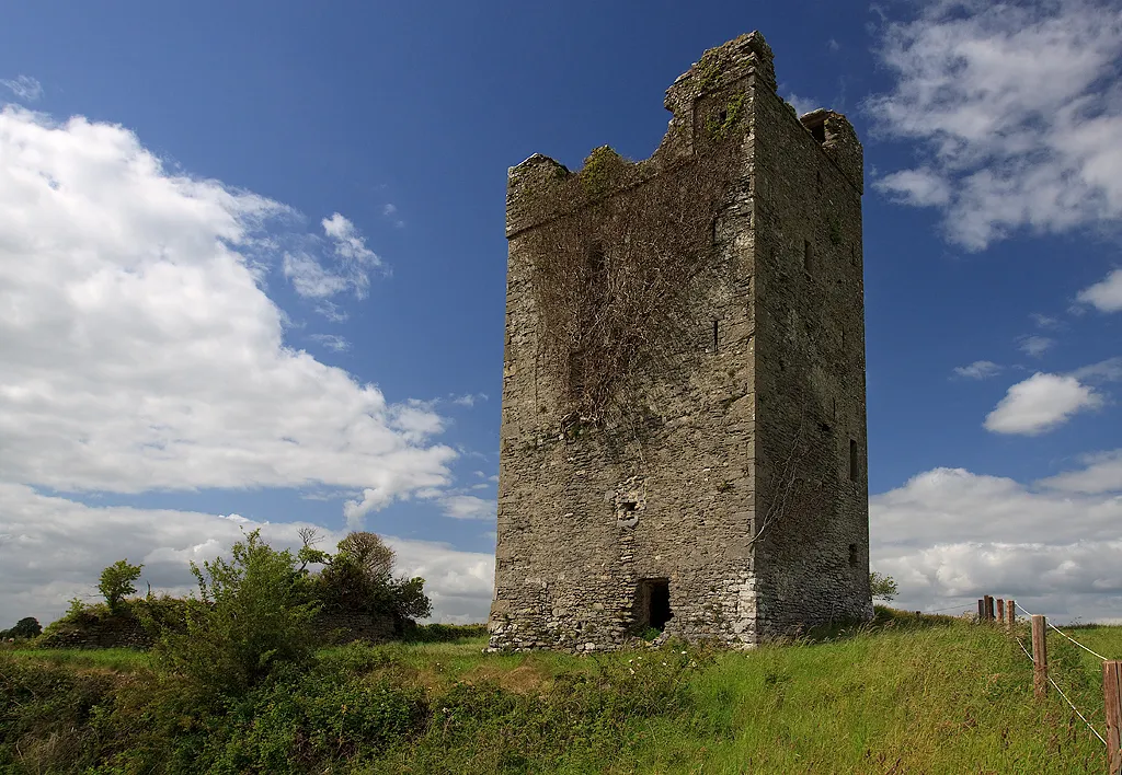 Photo showing: Castles of Leinster: Newtown, Kilkenny (1)