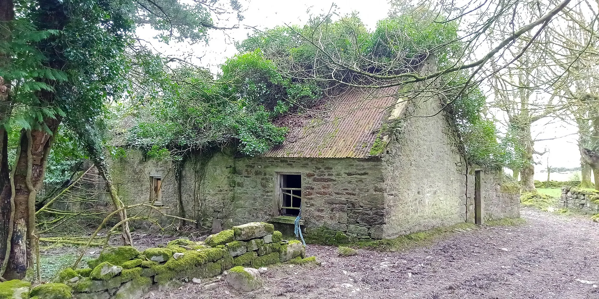 Photo showing: Abandoned and derelict Dwyer Homestead in the townland of Bregaun near the Summit Loop in Co. Kilkenny