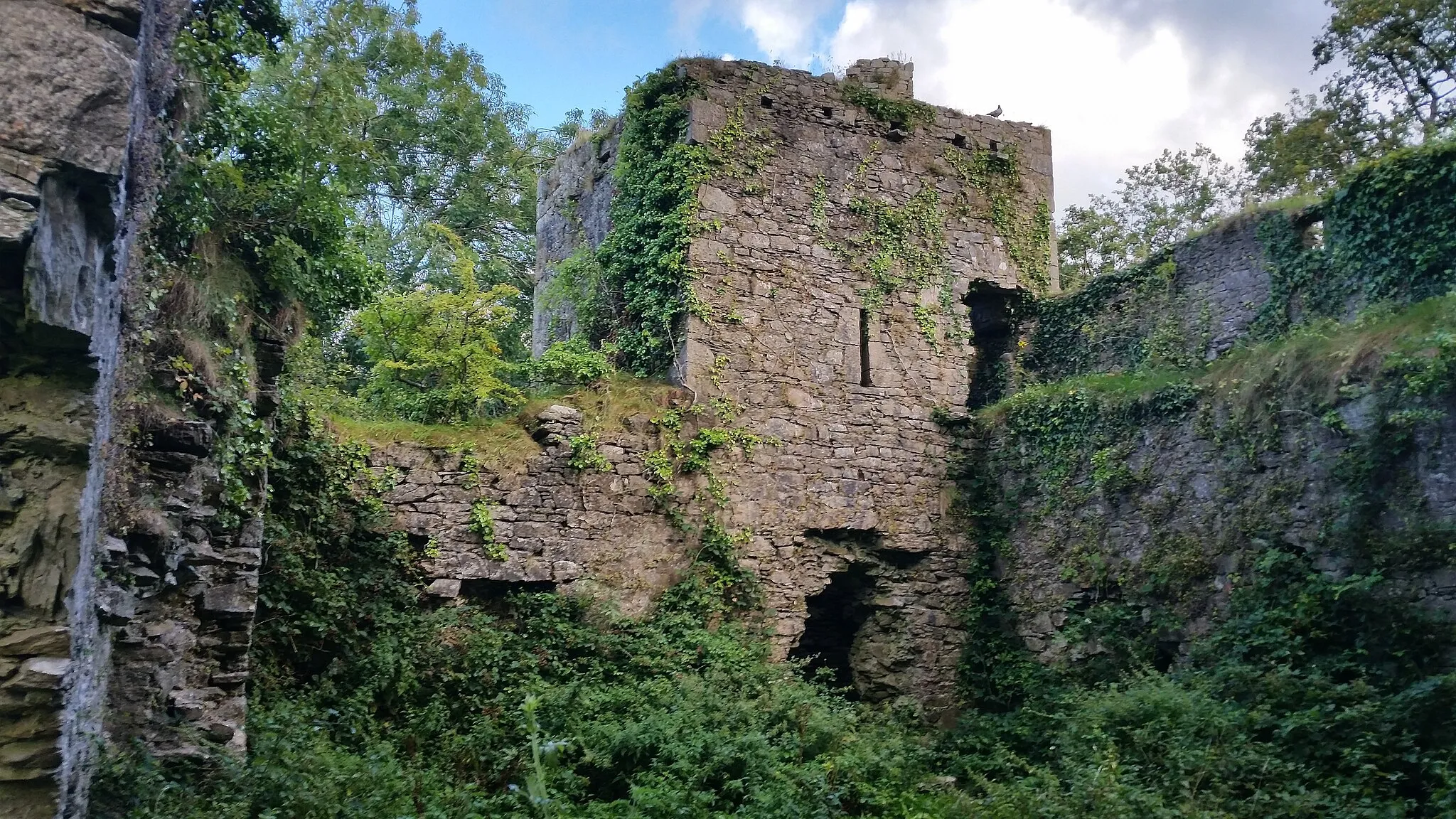 Photo showing: Kilcrea Castle Ruins: the inner courtyard is mostly overgrown.