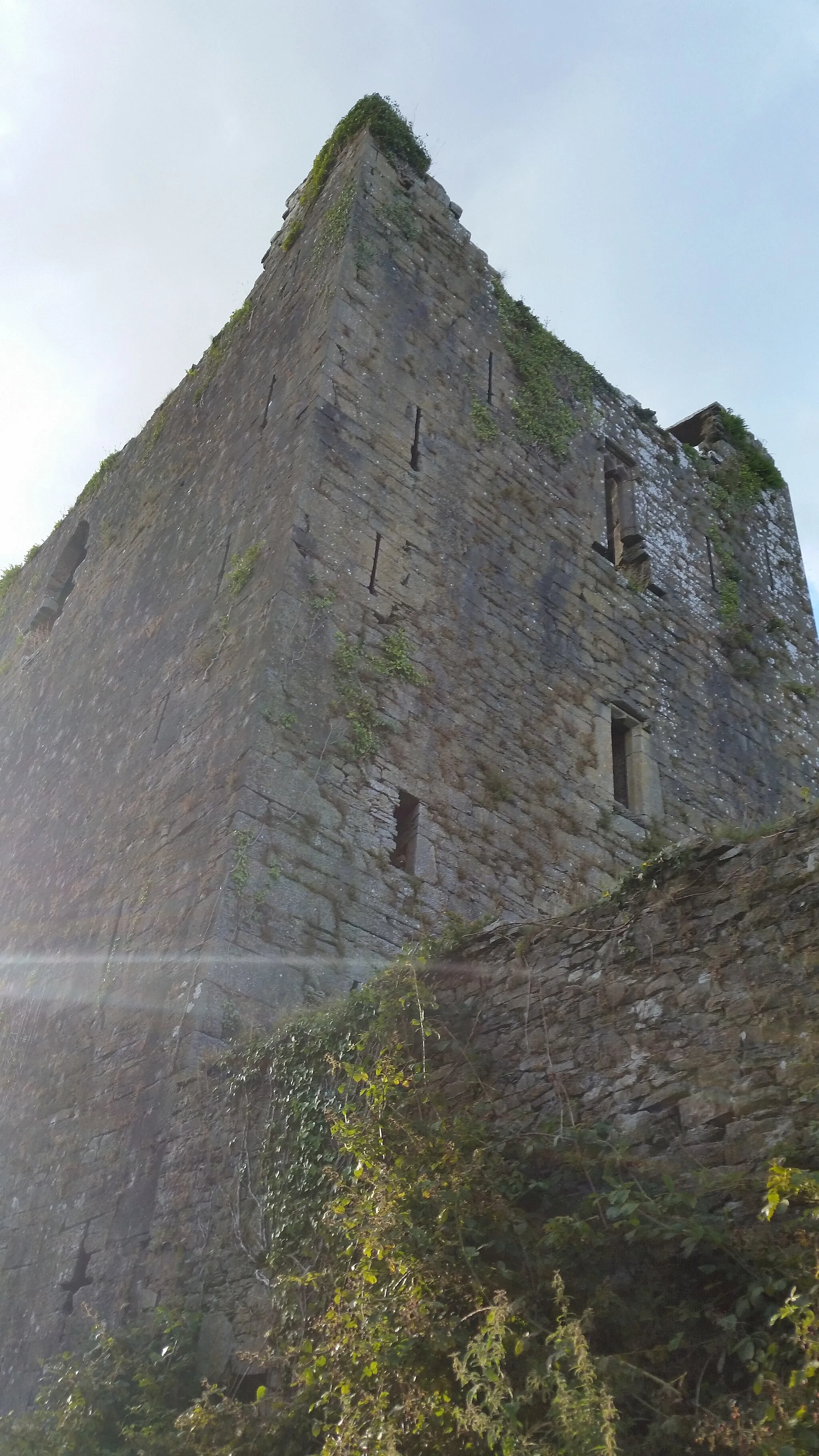 Photo showing: Kilcrea Castle Ruins: The view of the castle from the southern approach.