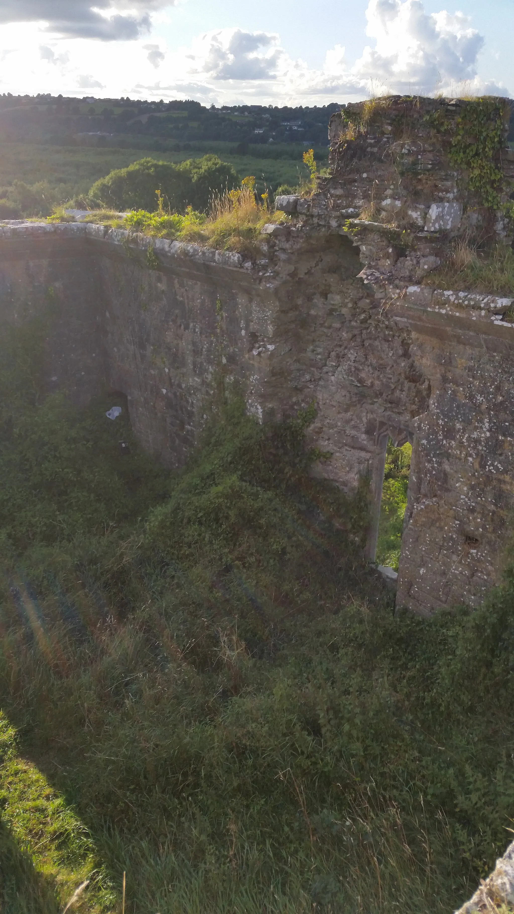 Photo showing: Kilcrea Castle Ruins: this is the fifth floor, supposedly the chieftain's room. The roof is completely missing and vegetation has taken over.