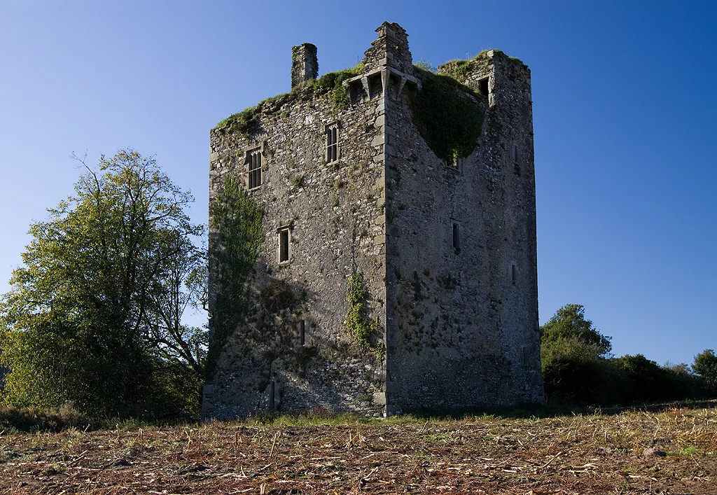 Photo showing: Castles of Munster: Clodah, Cork - revisited (1)