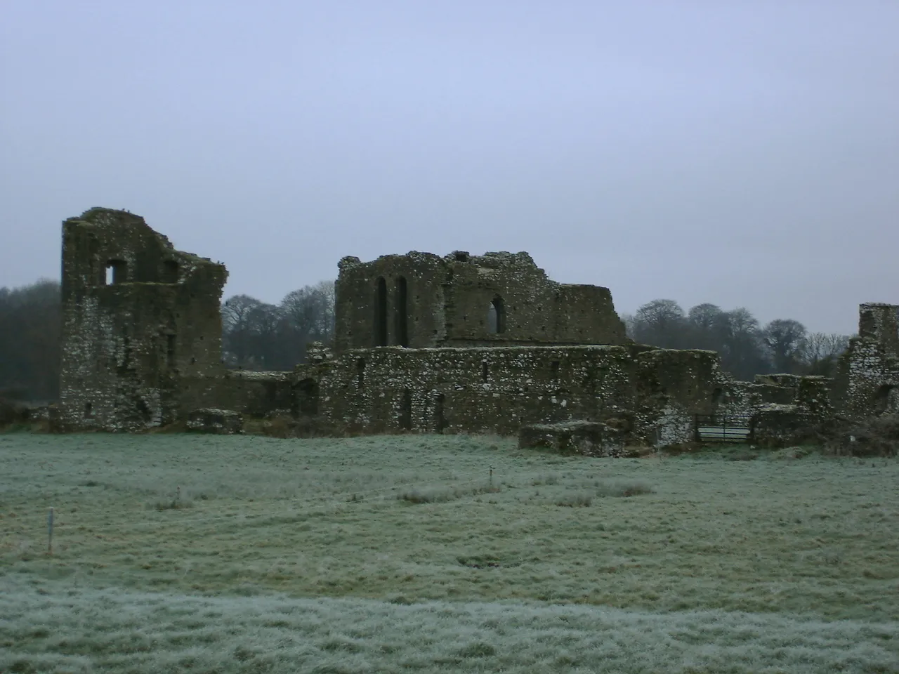 Photo showing: Ruins of Ballybeg Priory