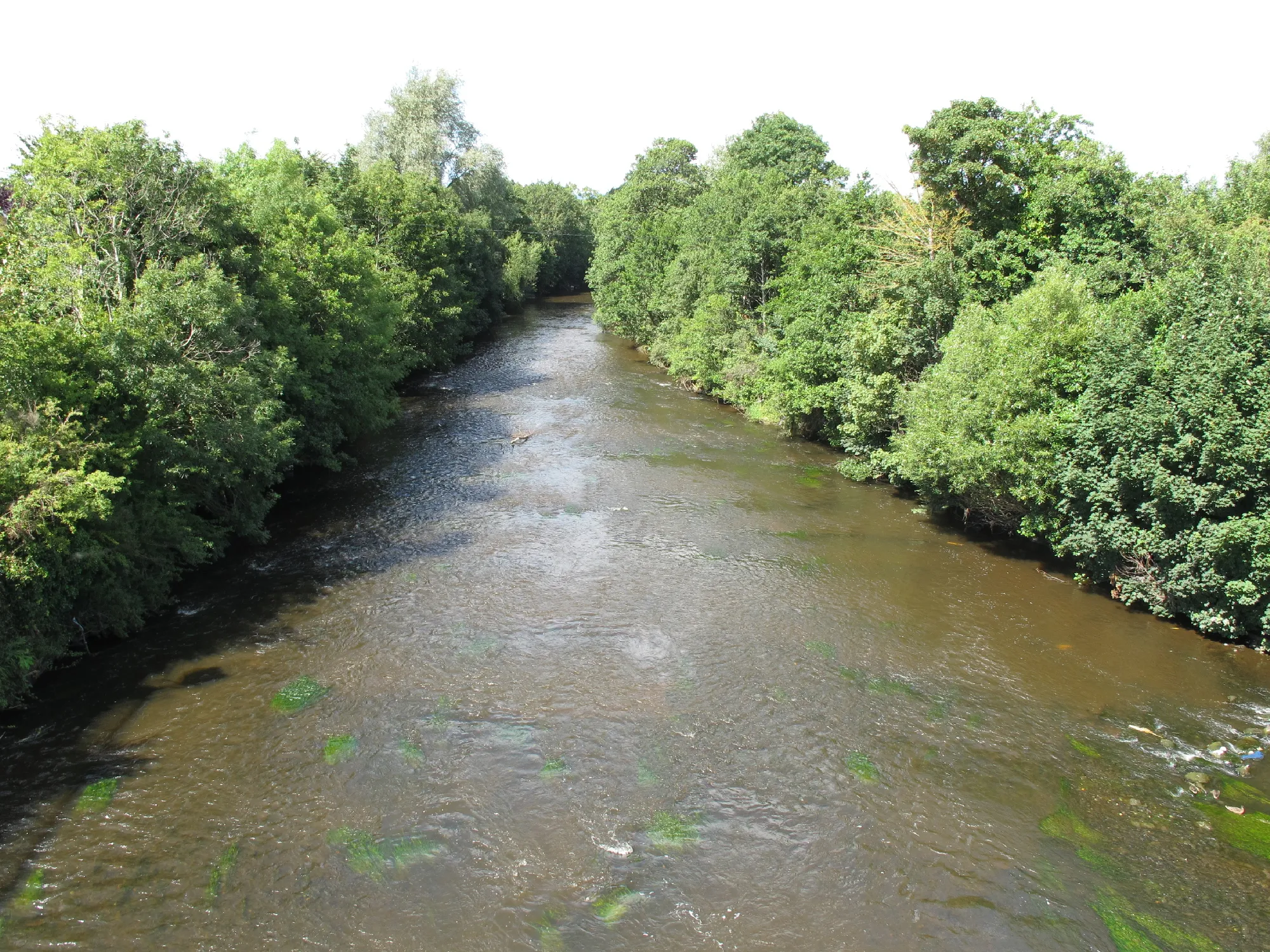 Photo showing: Mulkear River  at Annacotty