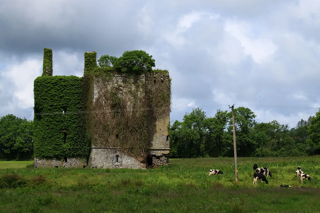 Photo showing: Castles of Munster: Kilmurry, Kerry (1)