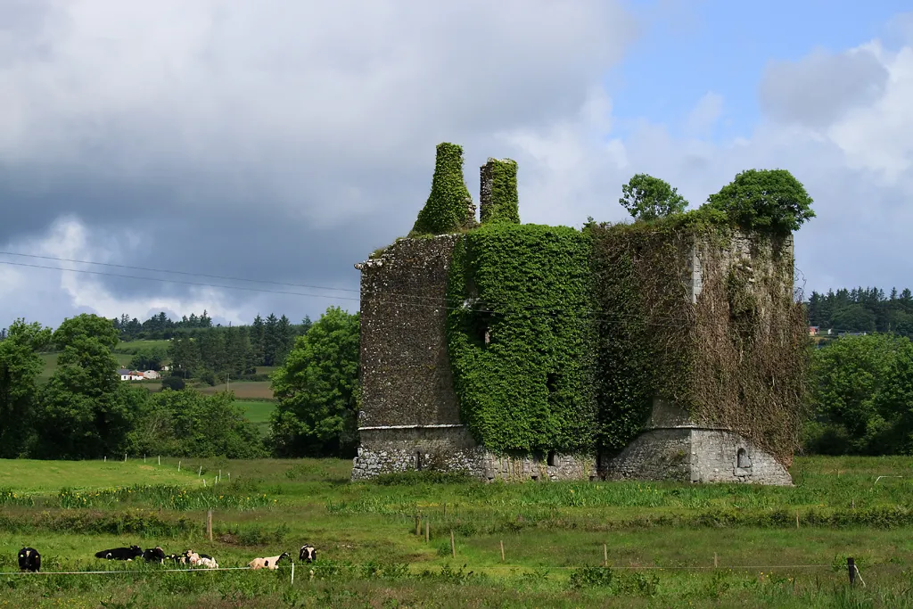 Photo showing: Castles of Munster: Kilmurry, Kerry (2)