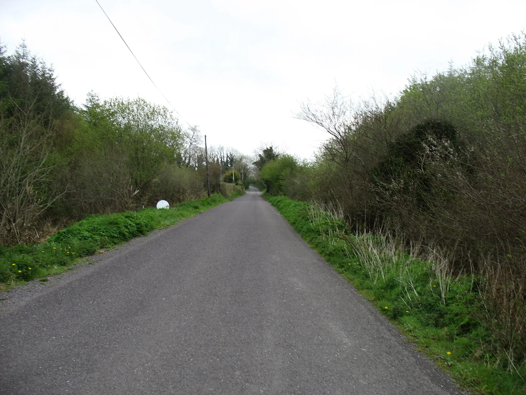 Photo showing: The L5166 heading for Knocknagree