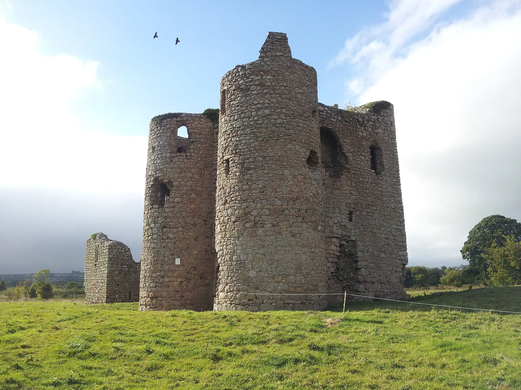 Photo showing: Ballyloughan Castle