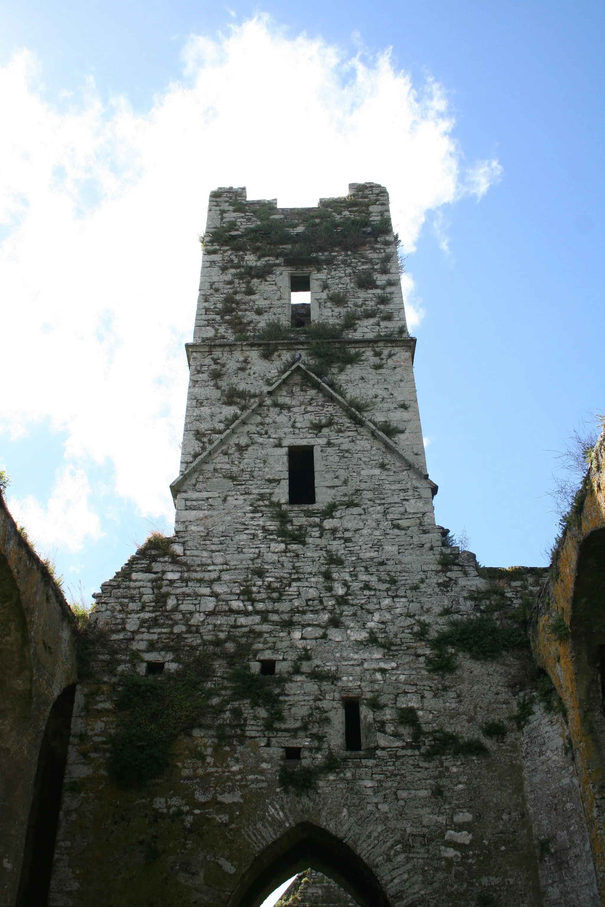 Photo showing: Timoleague Friary: Belltower