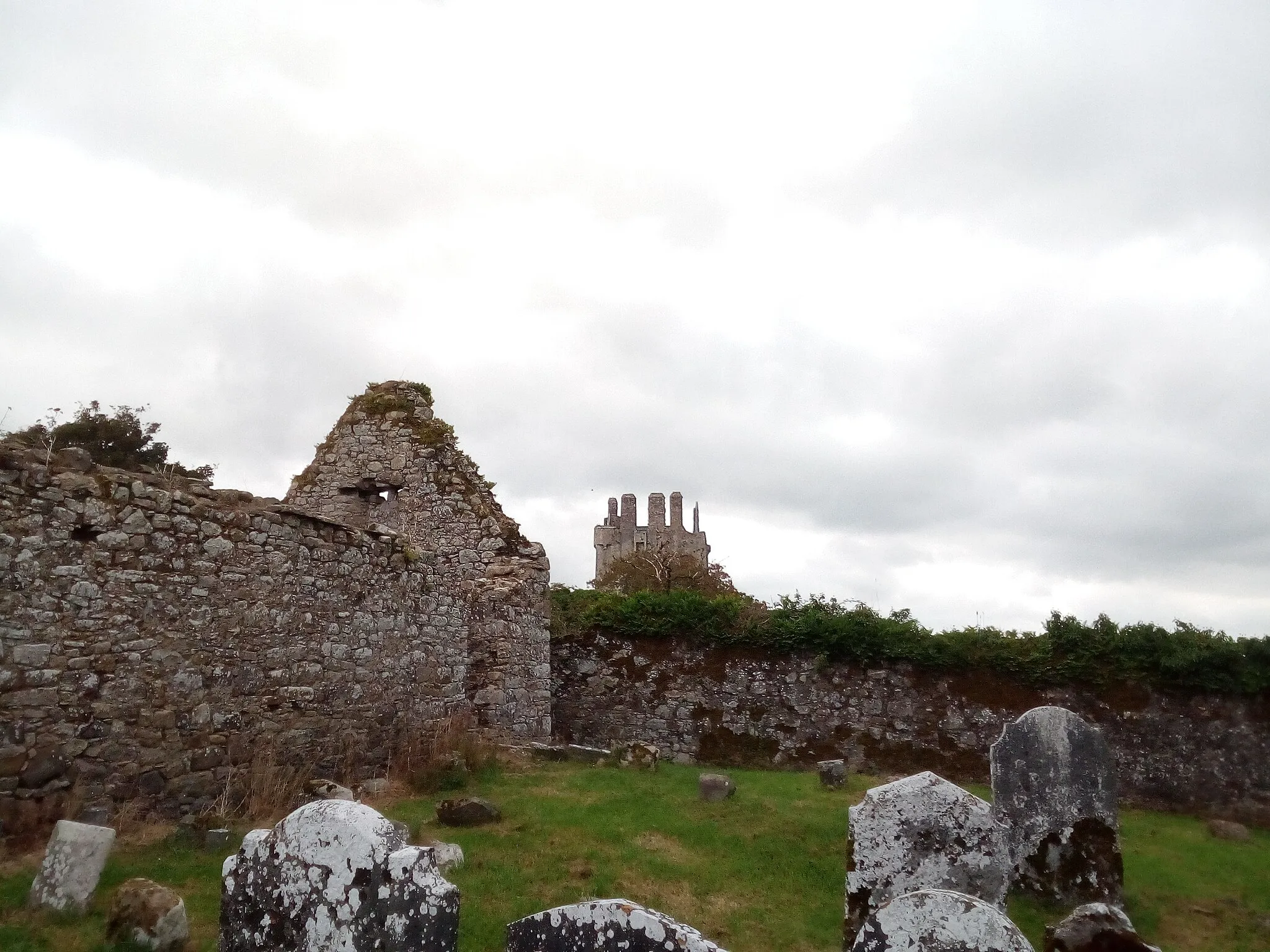 Photo showing: Kilcash church ruin and castle