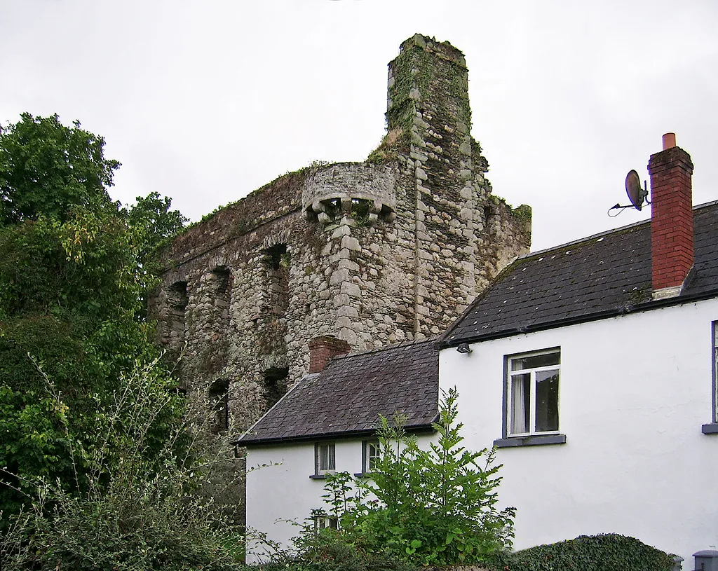 Photo showing: Castles of Leinster: Tinnahinch, Carlow (2)