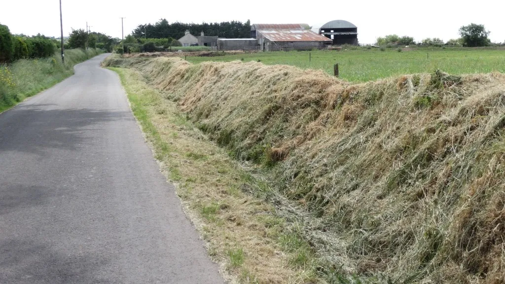 Photo showing: Arable land near Rochfordstown