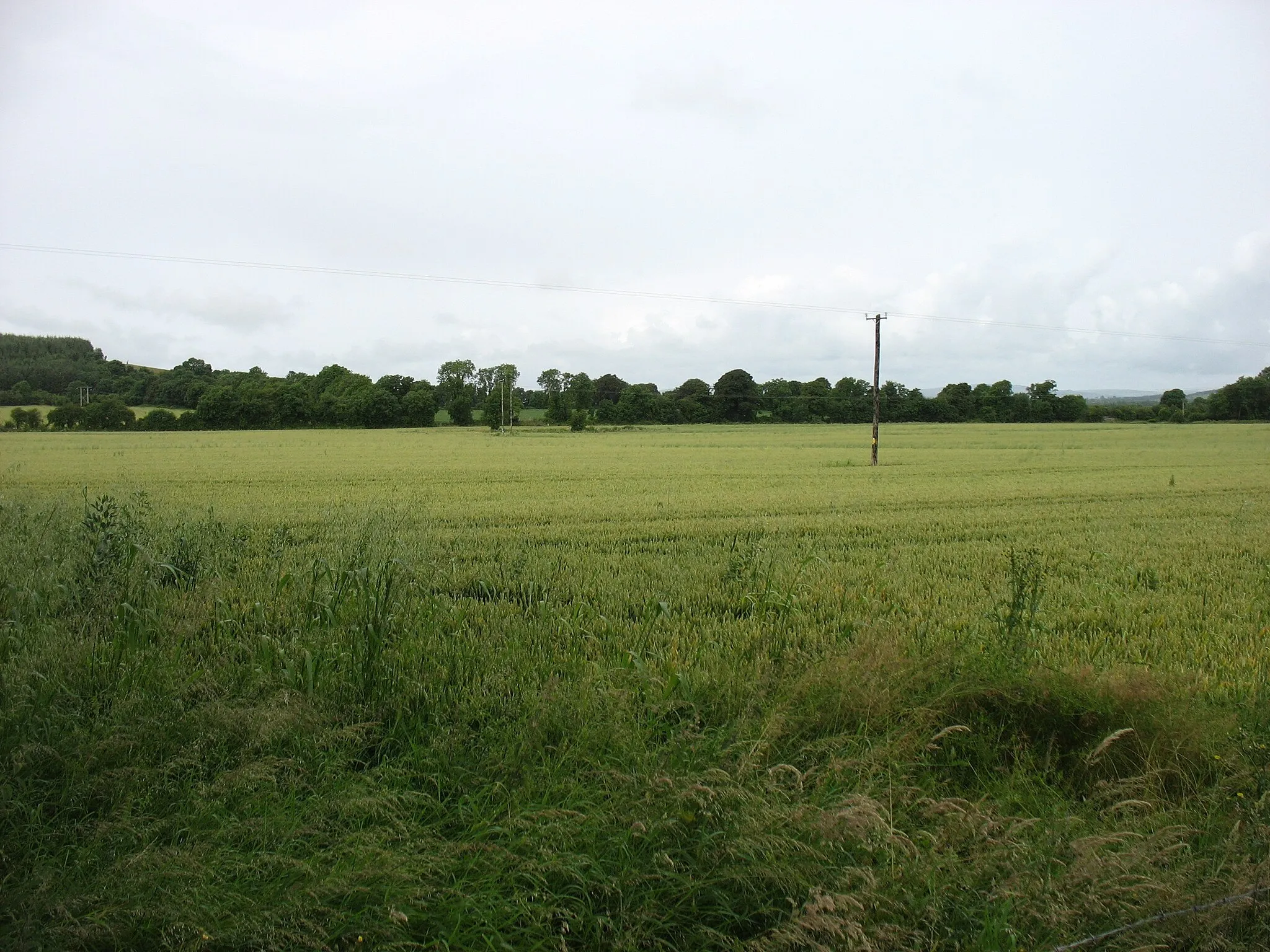 Photo showing: Farmland near Ballinure