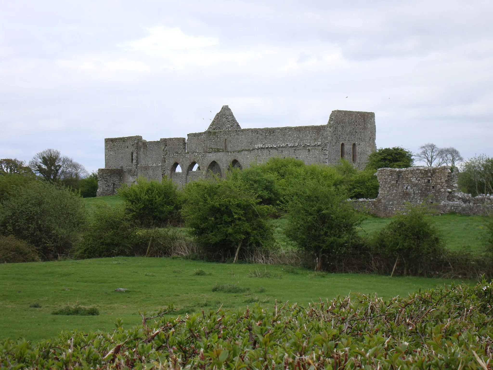 Photo showing: Photograph of the remains of Monasteranenagh Abbey, Co. Limerick, Ireland. Above the arcade, three lancet windows of a clerestory are visible, showing hat this church was an architectural basilica.