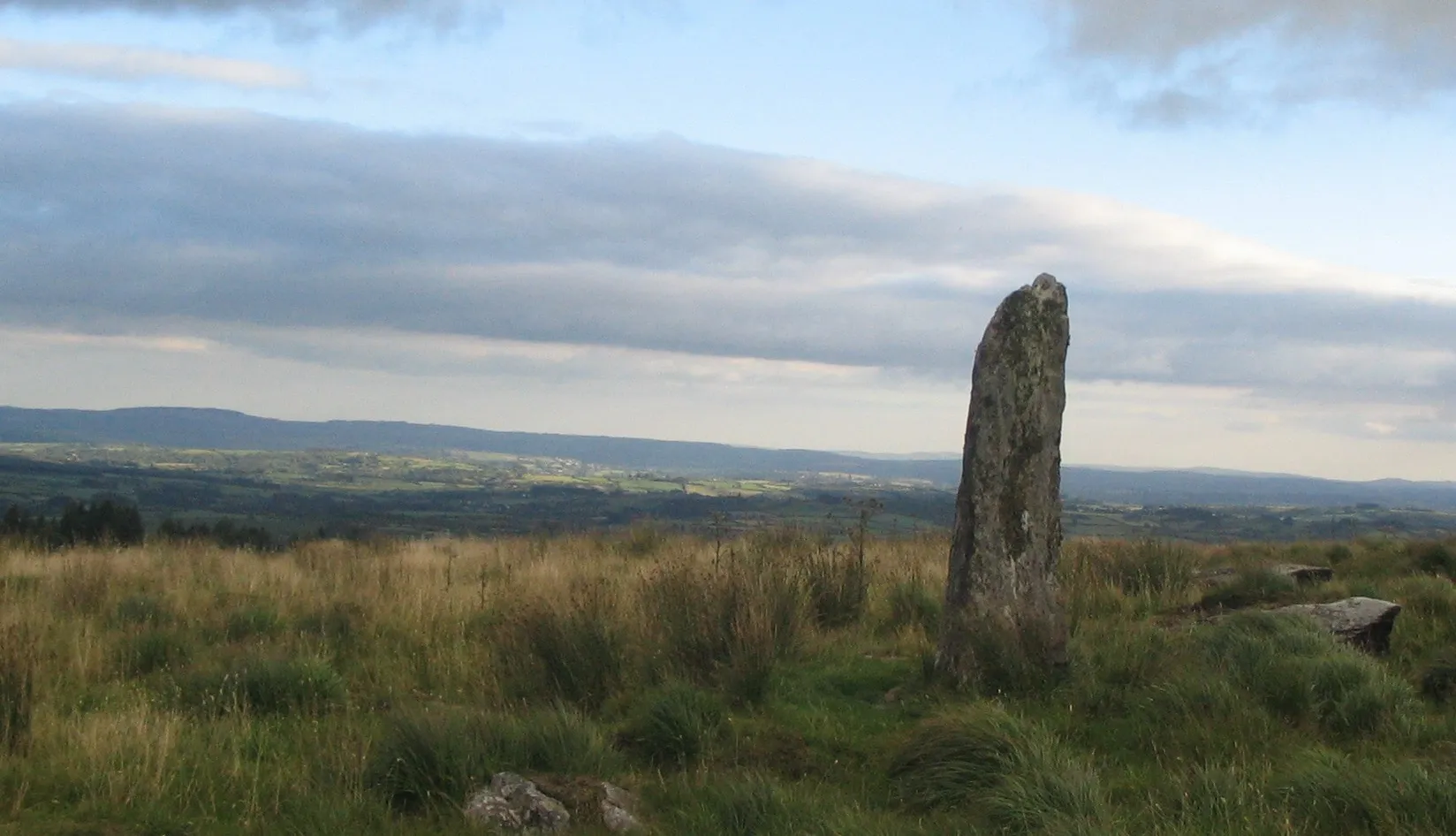 Photo showing: Unidentified standing stone located between Millstreet and Ballinagree, Co Cork, Ireland.