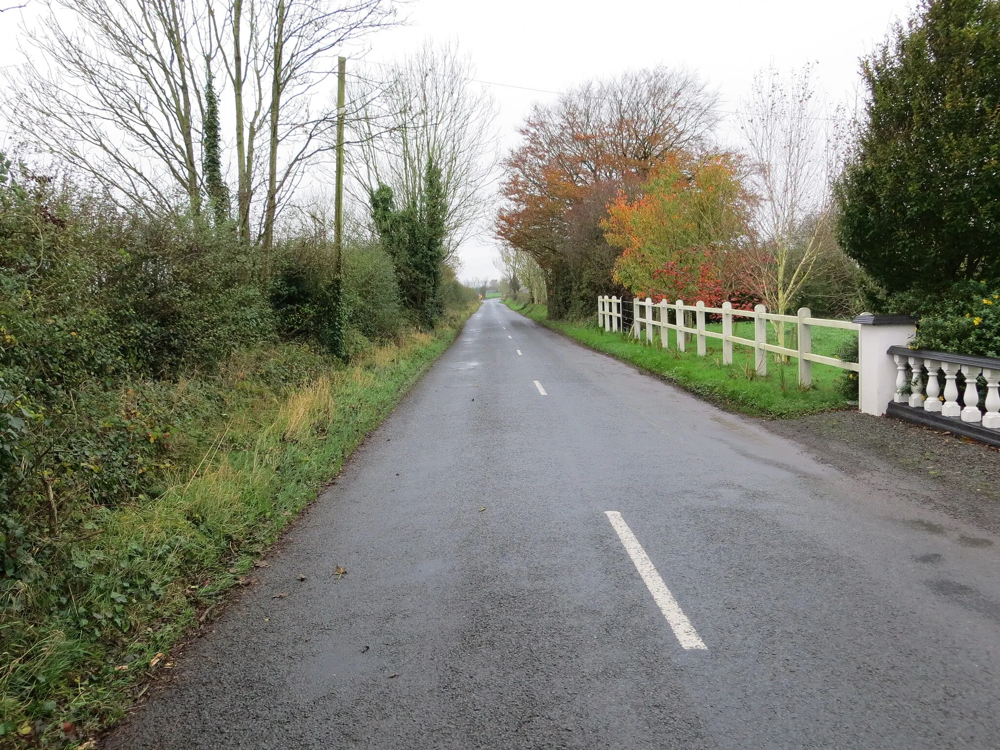 Photo showing: Road (L1513) approaching R513 near Garryspilane