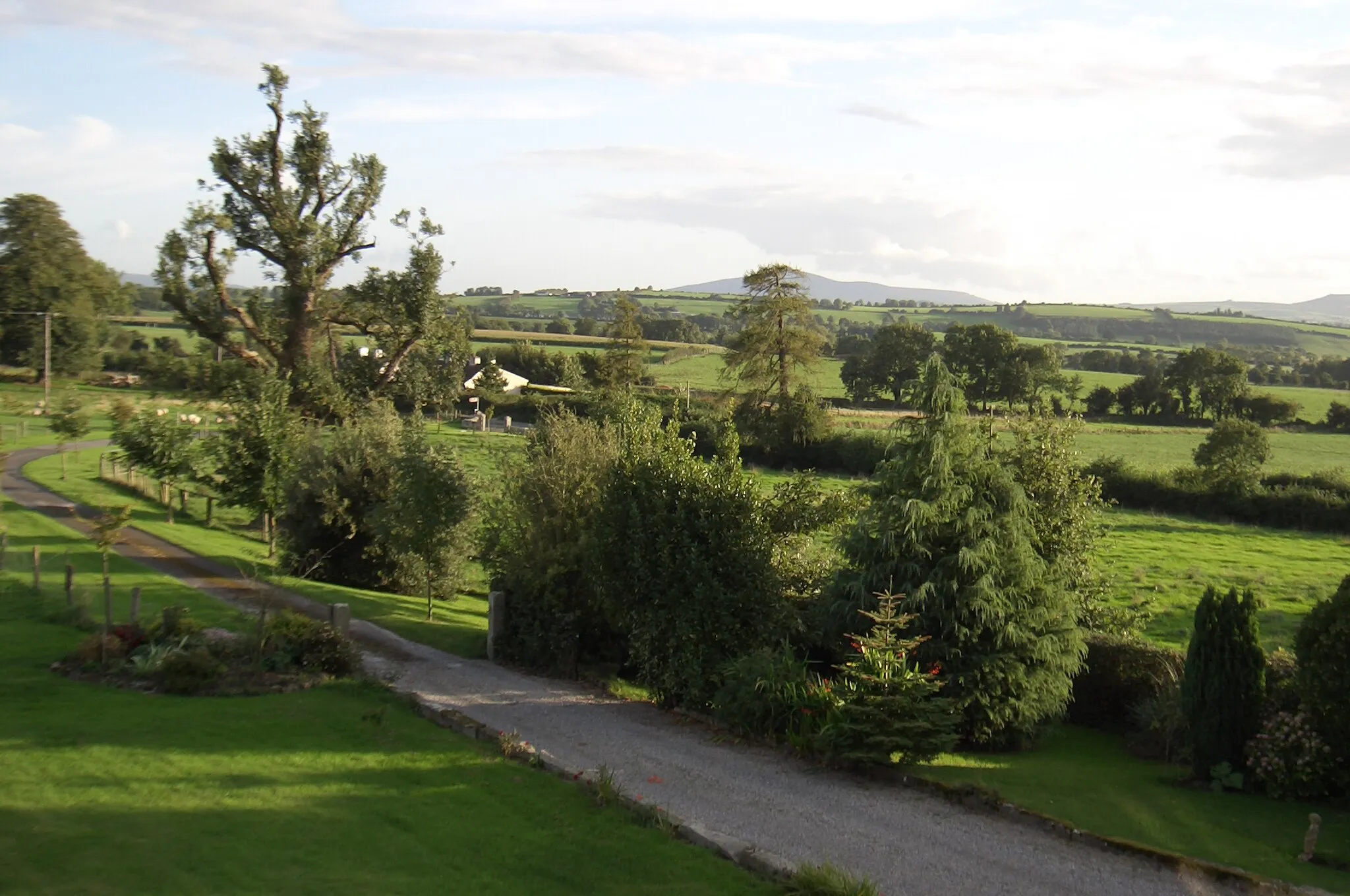Photo showing: Croghan Hill viewed from Lorum Old Rectory