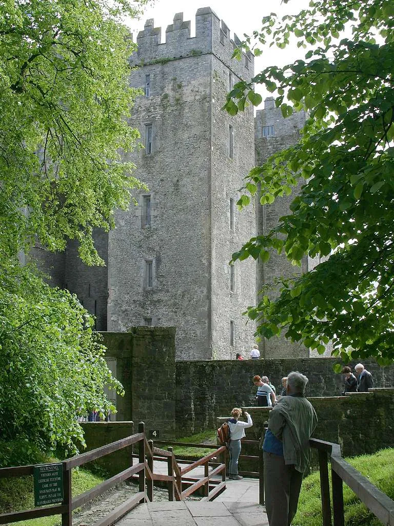 Photo showing: A view from Bunratty Castle in Ireland