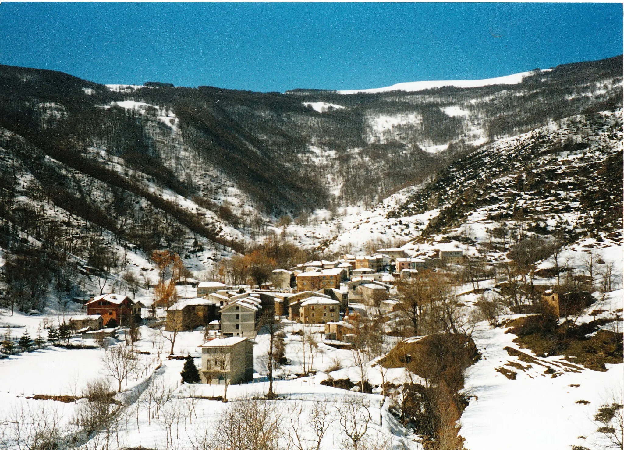 Photo showing: Fioli d'inverno tra monti e neve