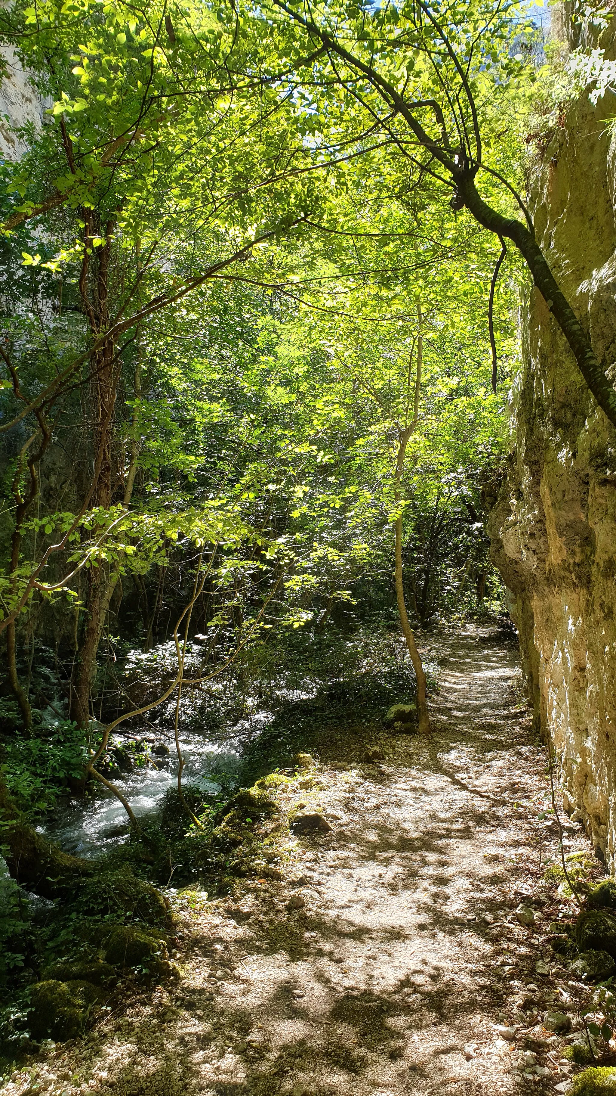 Photo showing: Gole del Sagittario