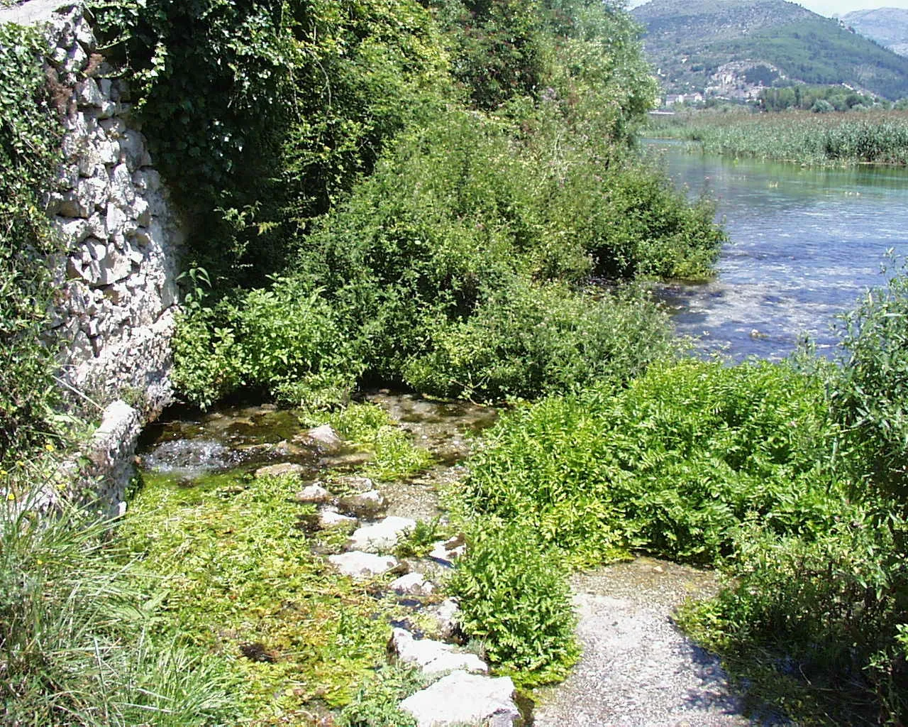 Photo showing: Die Wand an der Quelle, unter den Gestrüp tritt ebenfalls Wasser aus