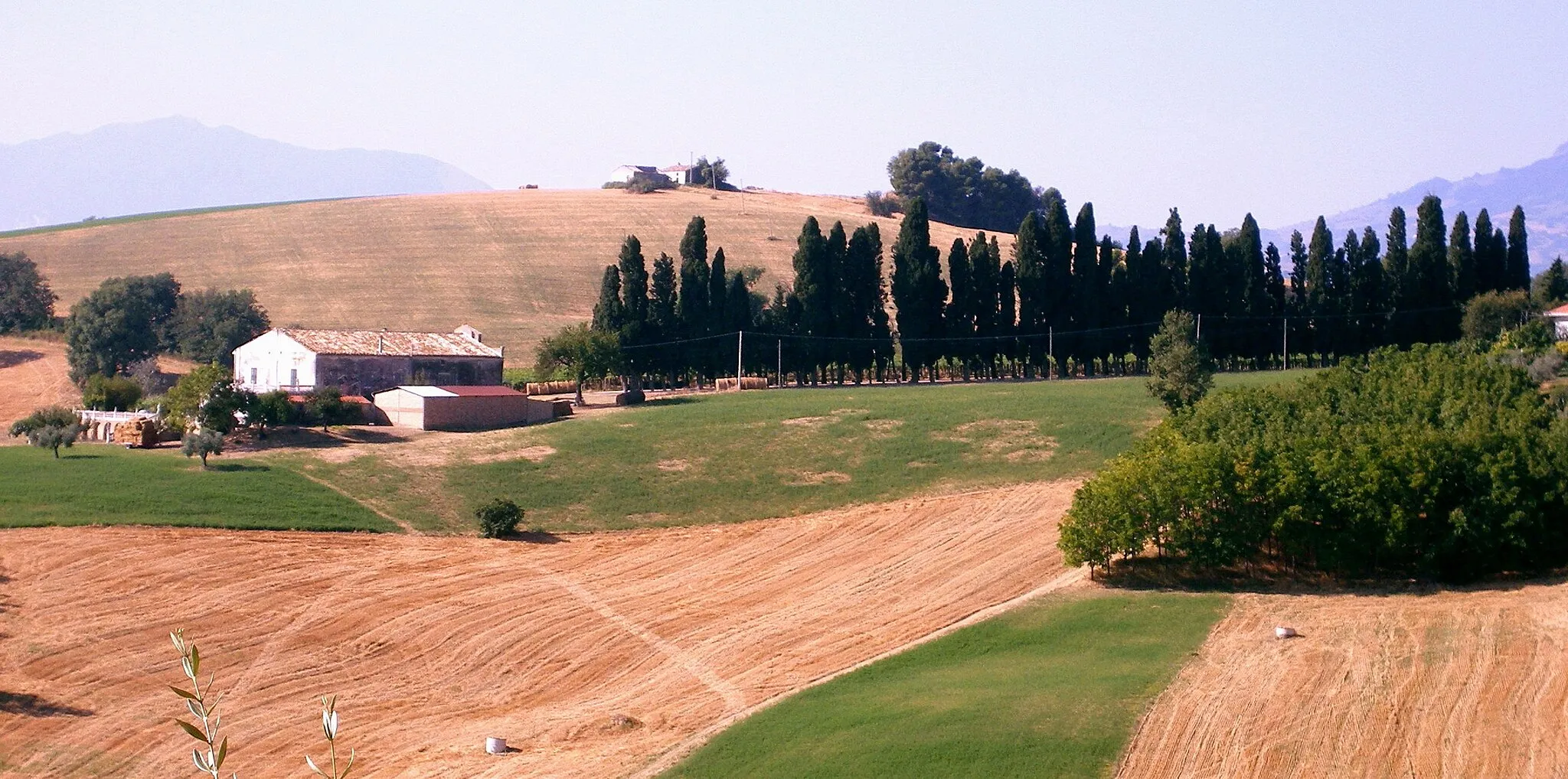 Photo showing: Villa Granchelli a un km da Vestea con i cipressi secolari che ne adornano il viale di accesso