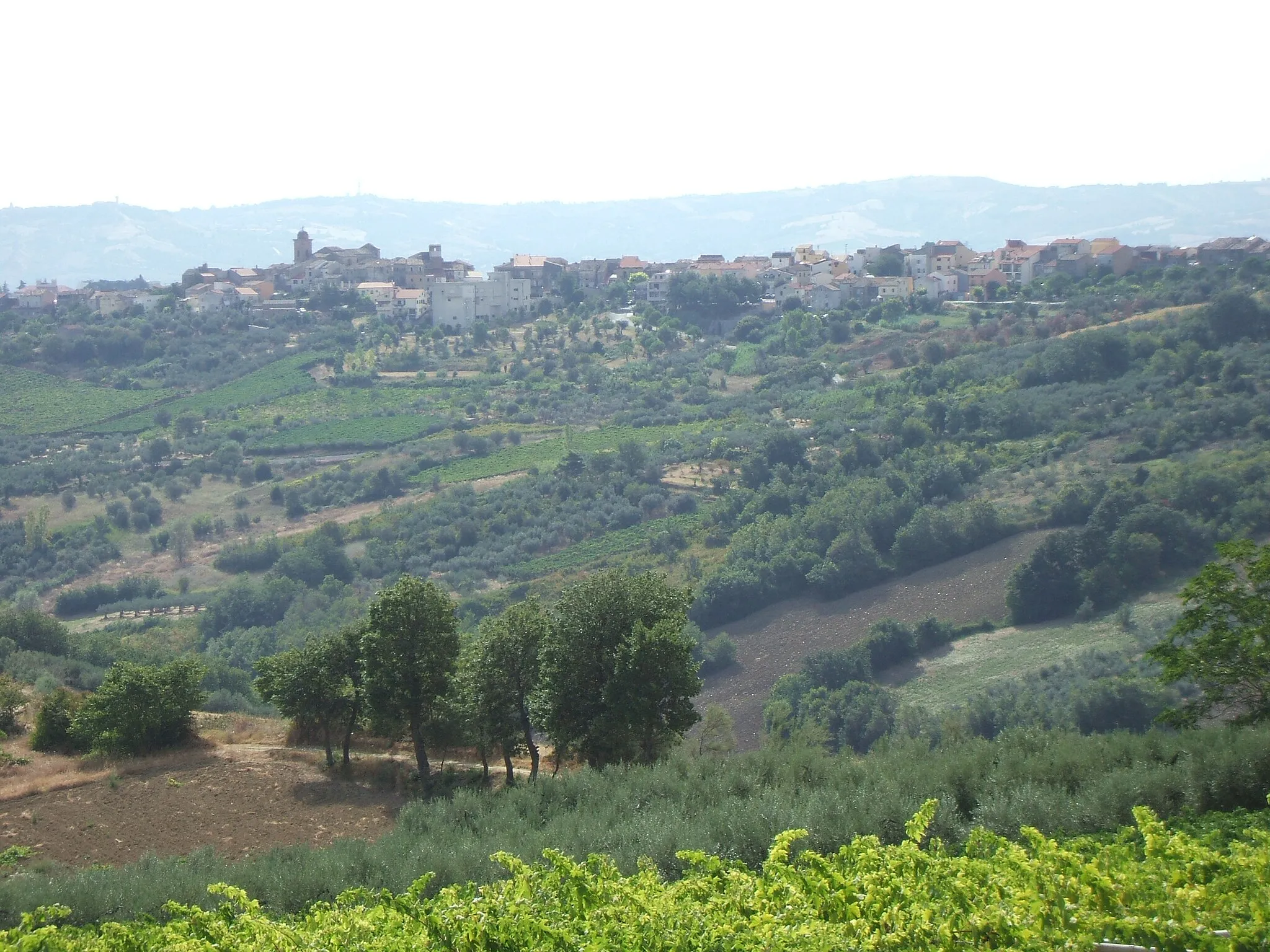 Photo showing: Panorama of Scerni