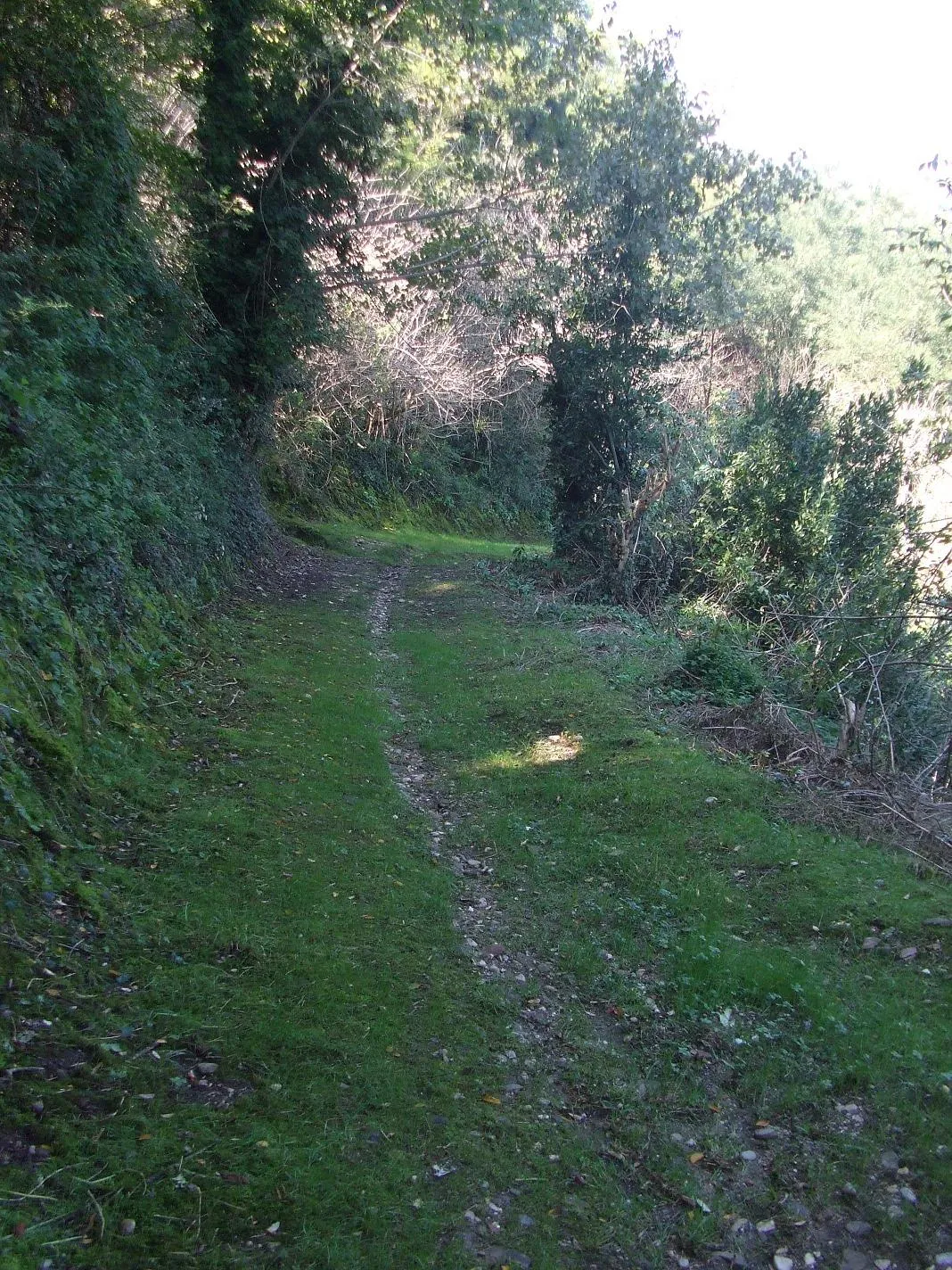 Photo showing: Sentiero per il fiume Fino