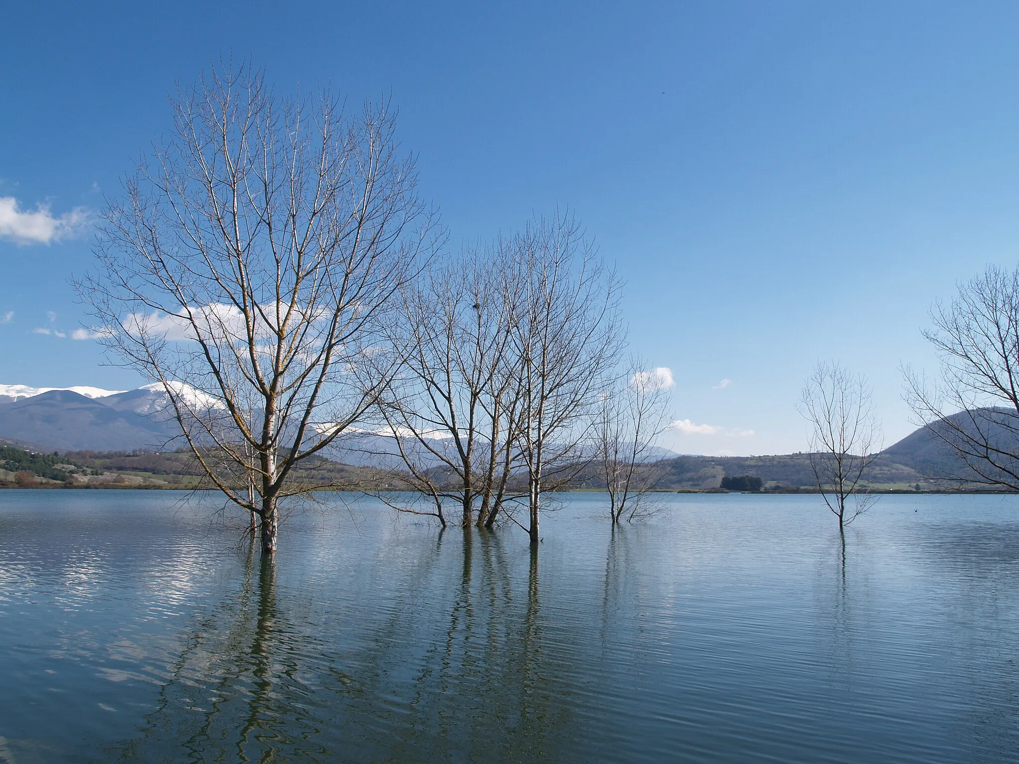 Photo showing: Alberi ed acqua