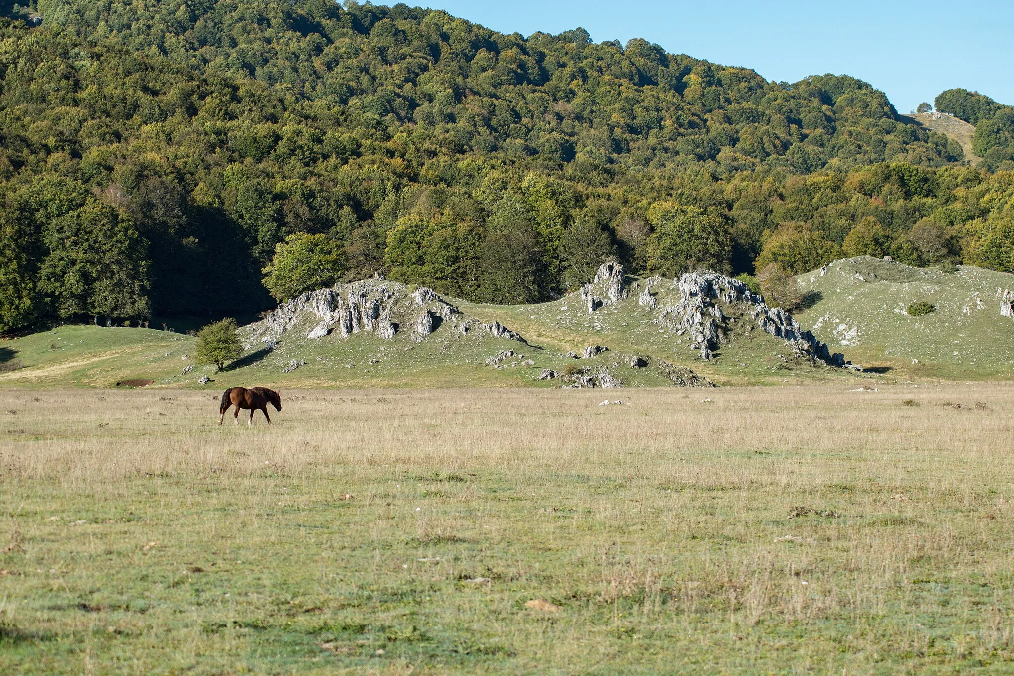 Photo showing: Grazing horse on the Camposecco plateau (Camerata Nuova, Rome)