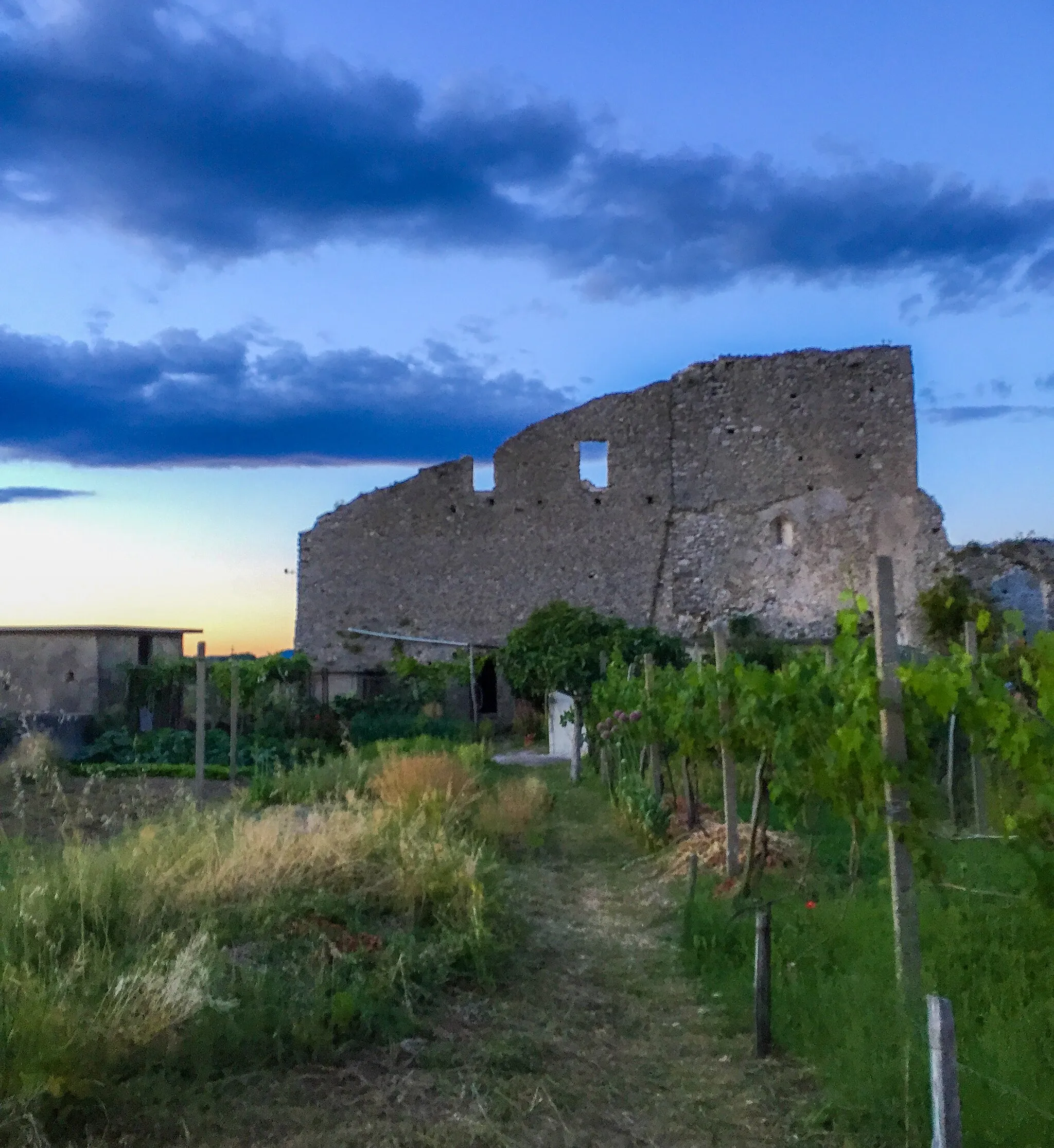 Photo showing: Ruins of the Ducal Palace