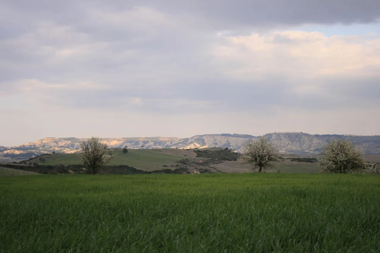 Photo showing: campi in semina