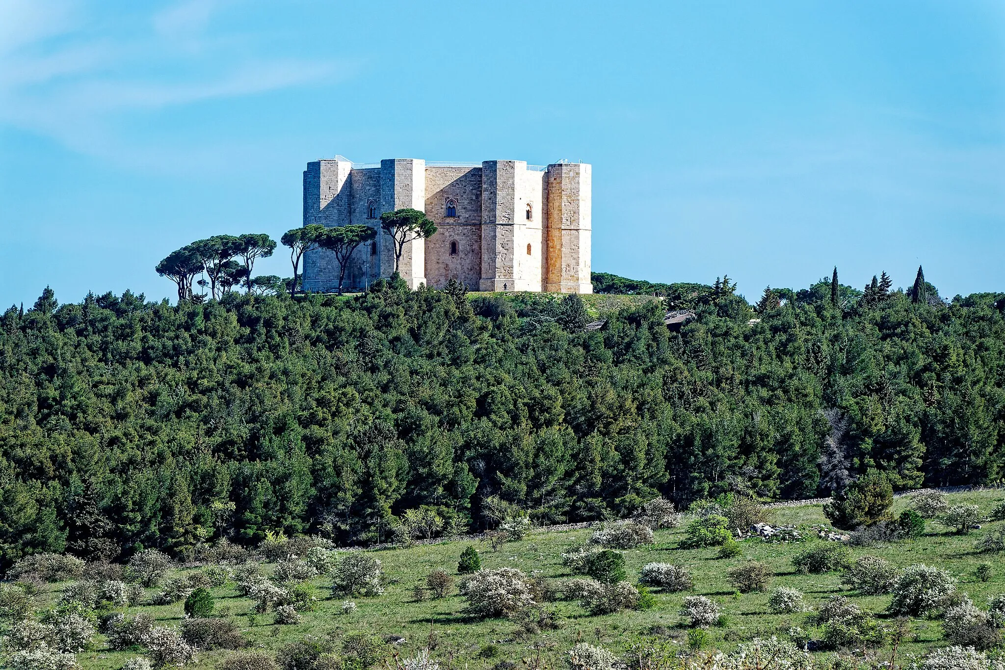 Photo showing: The Castel del Monte in Puglia.