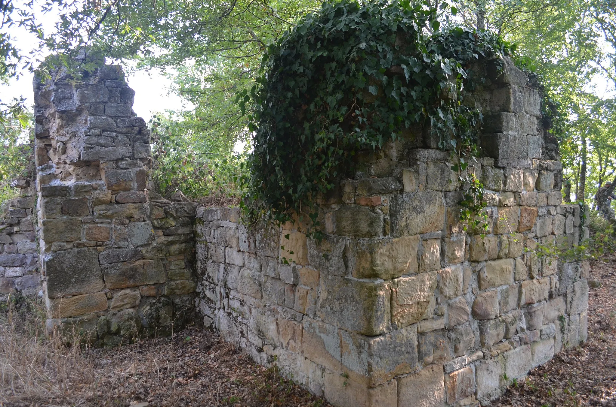 Photo showing: Rovine della chiesa di Acermontis