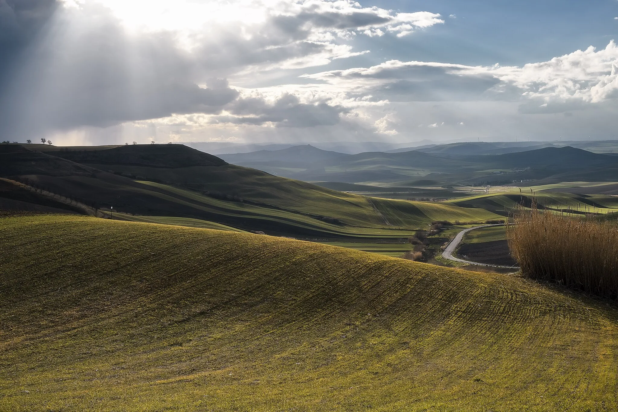 Photo showing: Poggiorsini dale in Alta Murgia National Park (Q680313)