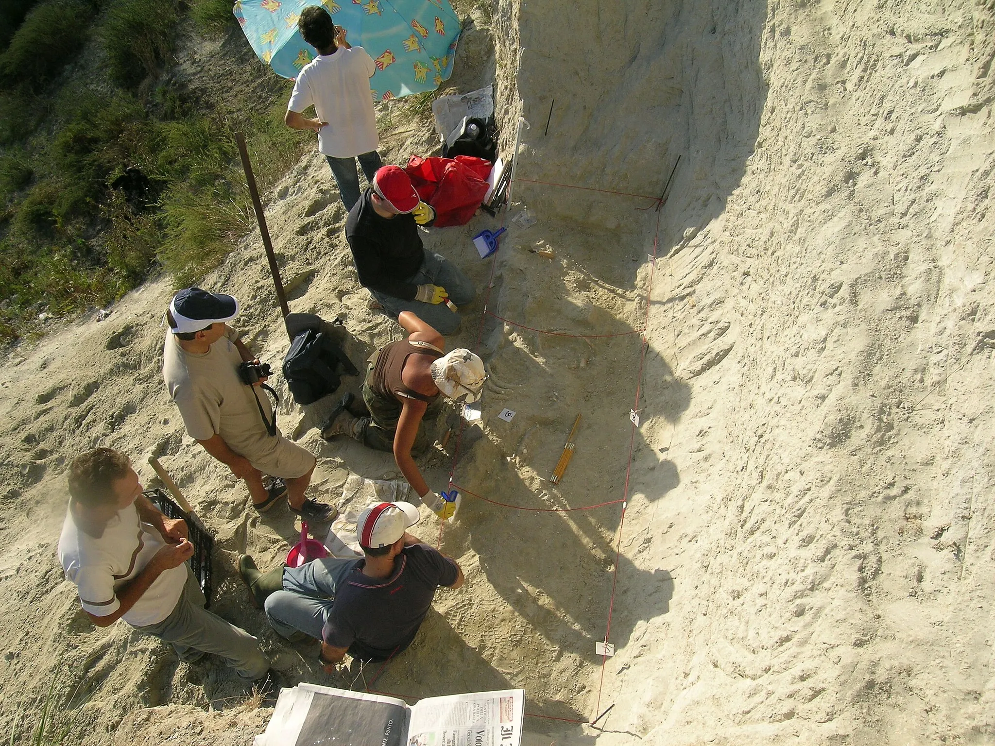 Photo showing: Tropea Paleontological Group During an excavation at Zungri, Italy