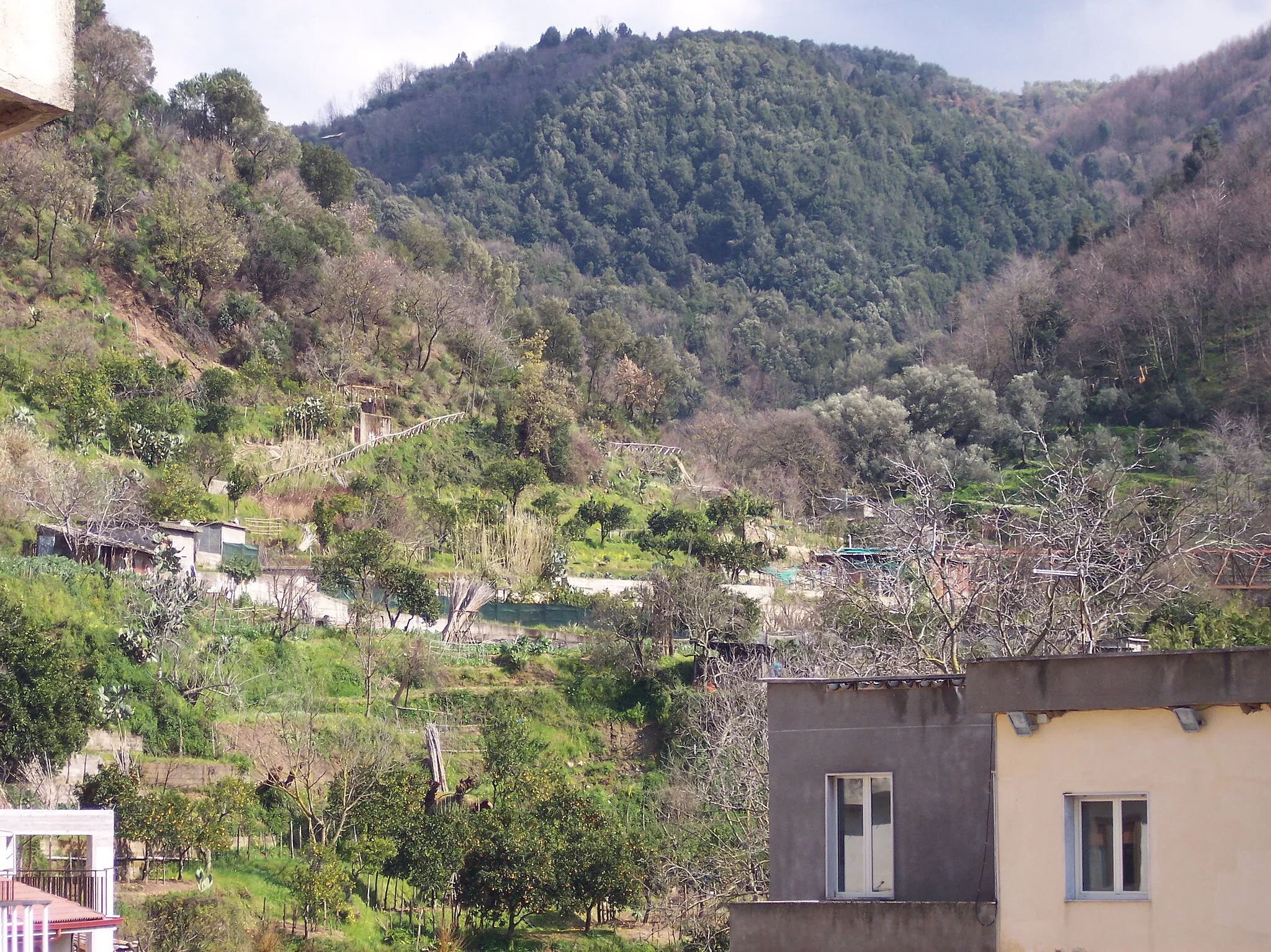 Photo showing: La parte rurale di Acquaro sopra le colline delle Serre Vibonesi