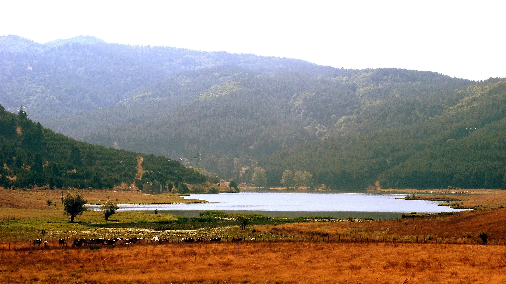 Photo showing: Lago di Ariamacina, Parco della Sila