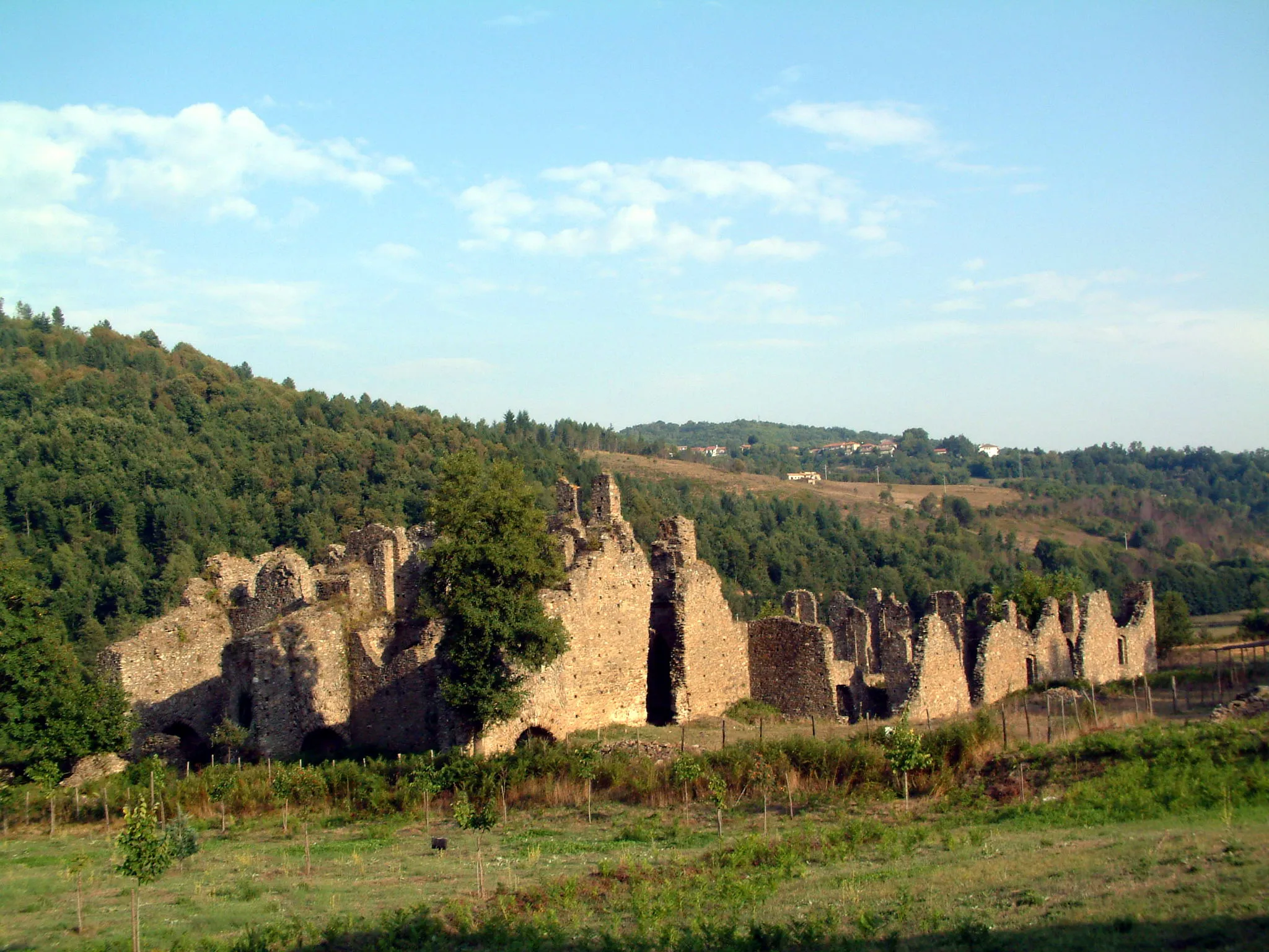 Photo showing: Ruderi dell'abbazia di Corazzo