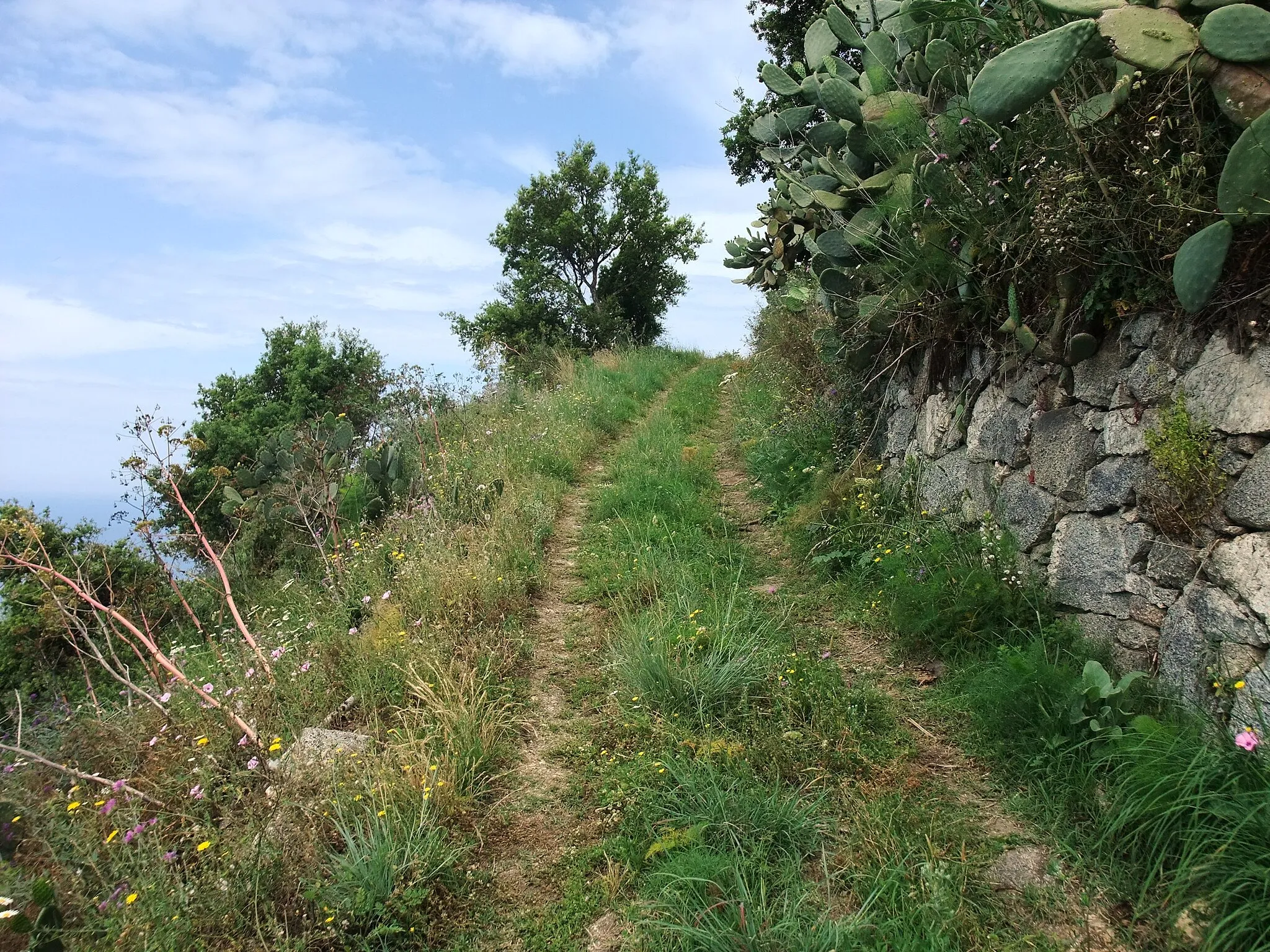 Photo showing: Calabria is the southernmost region of the Italian peninsula. Climbing Monte Poro (705 m)