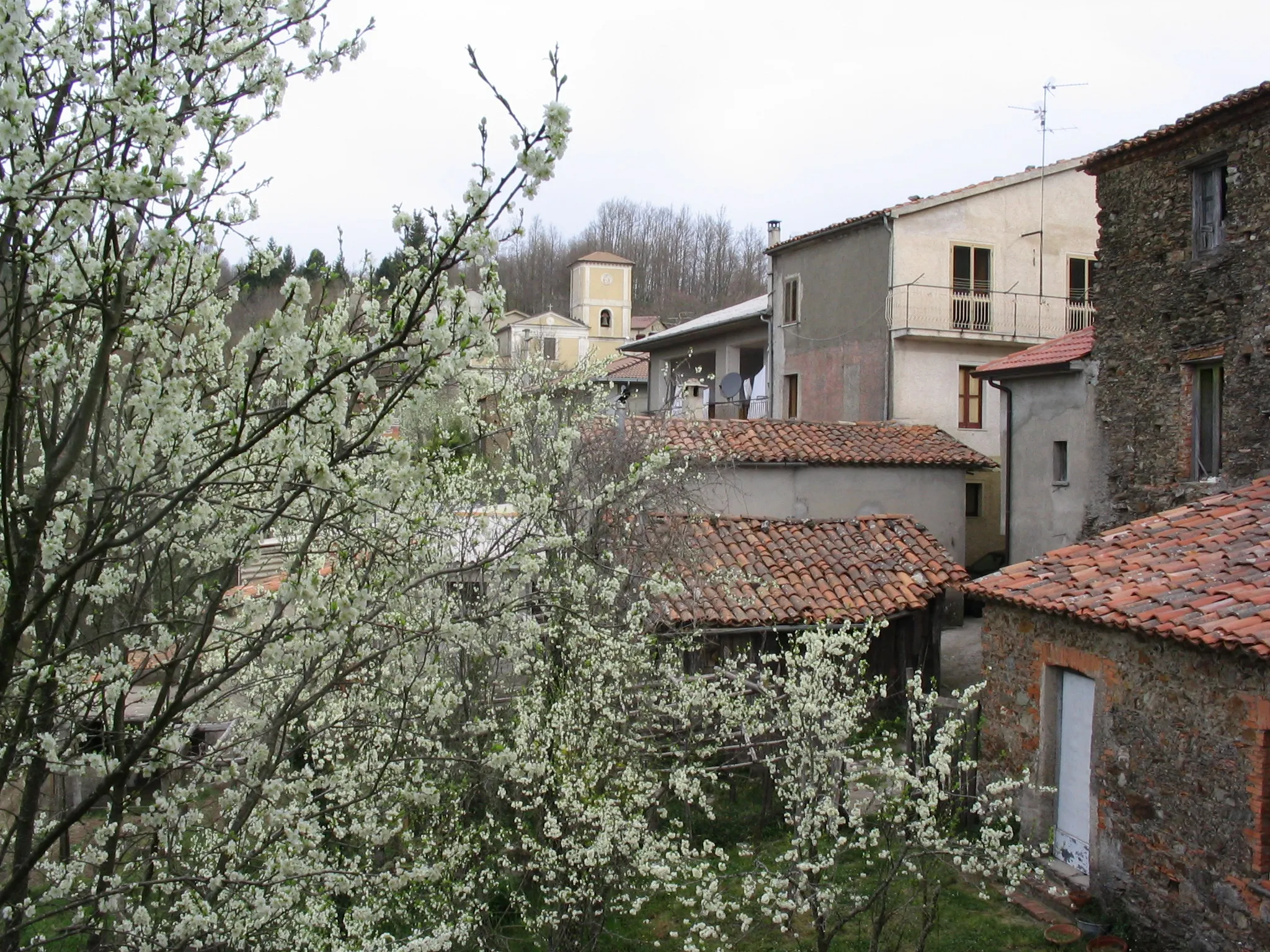 Photo showing: Adami, Spring