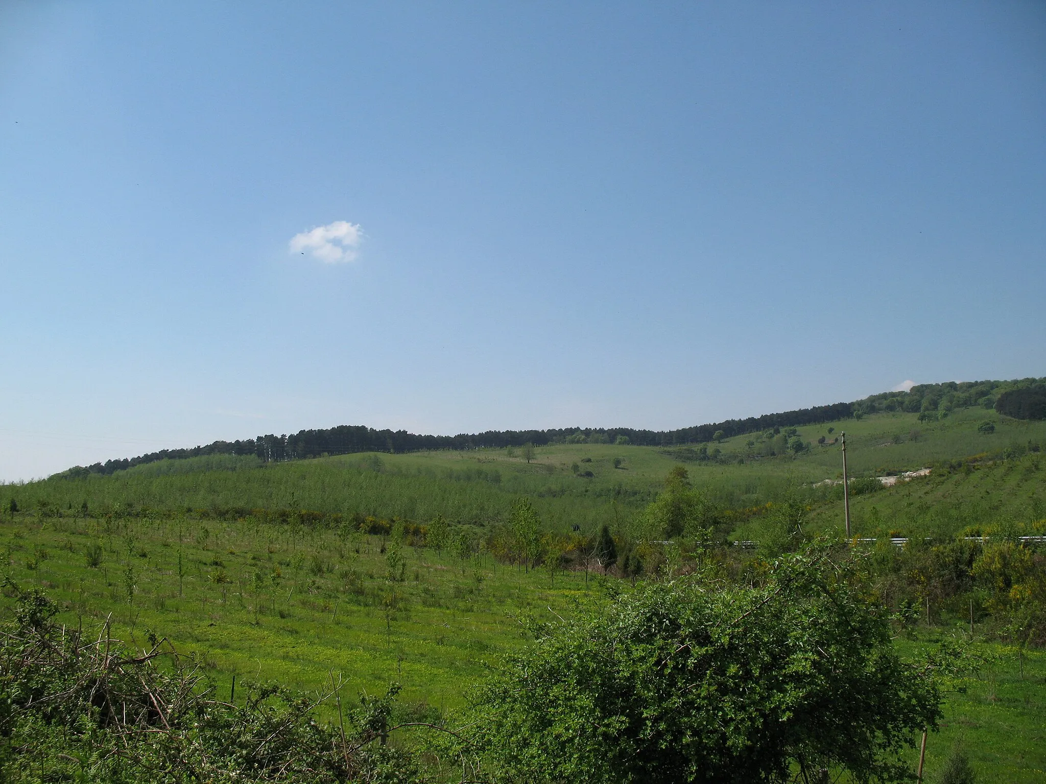 Photo showing: Paesaggio al passo della Limina in provincia di Reggio Calabria