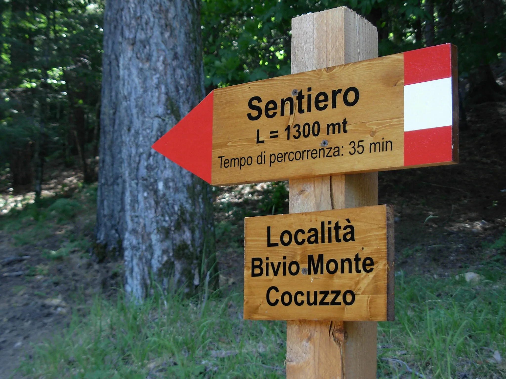 Photo showing: Monte Cocuzzo Sentiero Naturalistico della Comunita' Montana Serre Cosentine