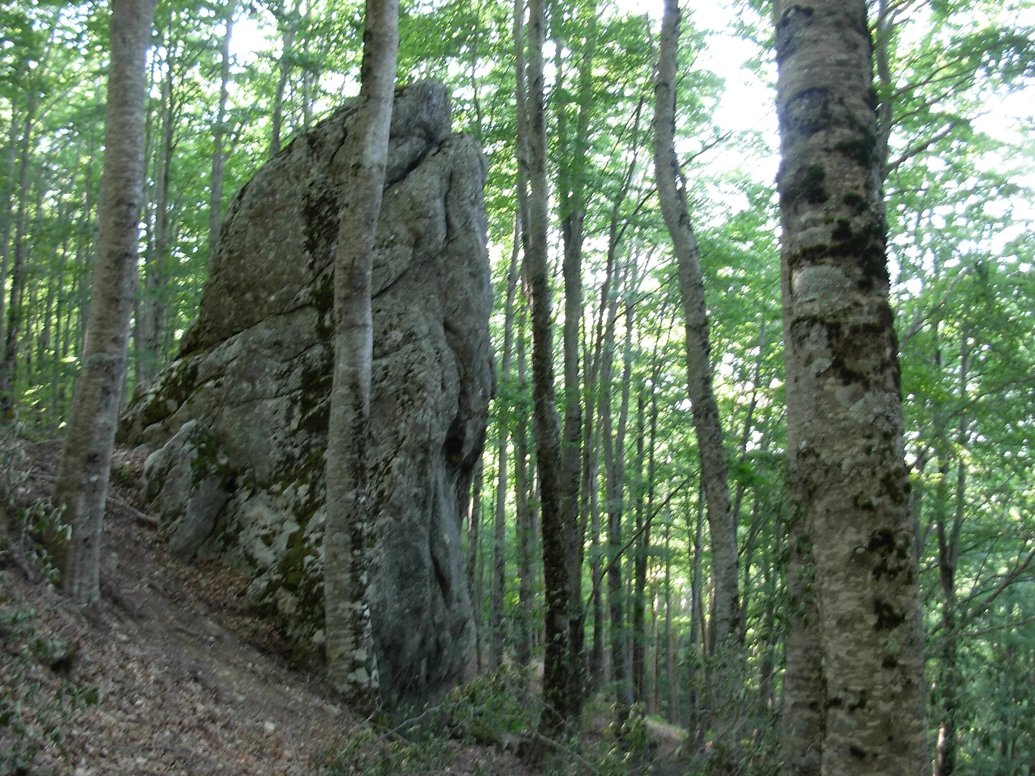 Photo showing: Monolite "Pietra del Ruvazzu"